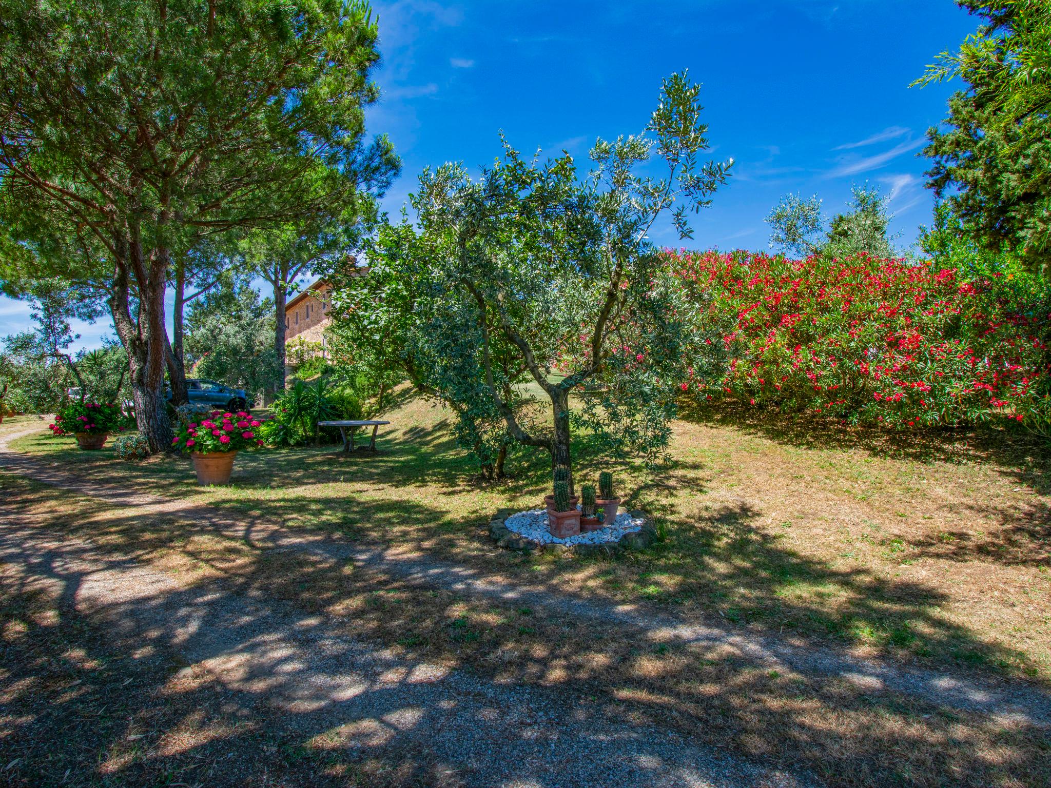 Photo 43 - 3 bedroom House in Capraia e Limite with private pool and garden