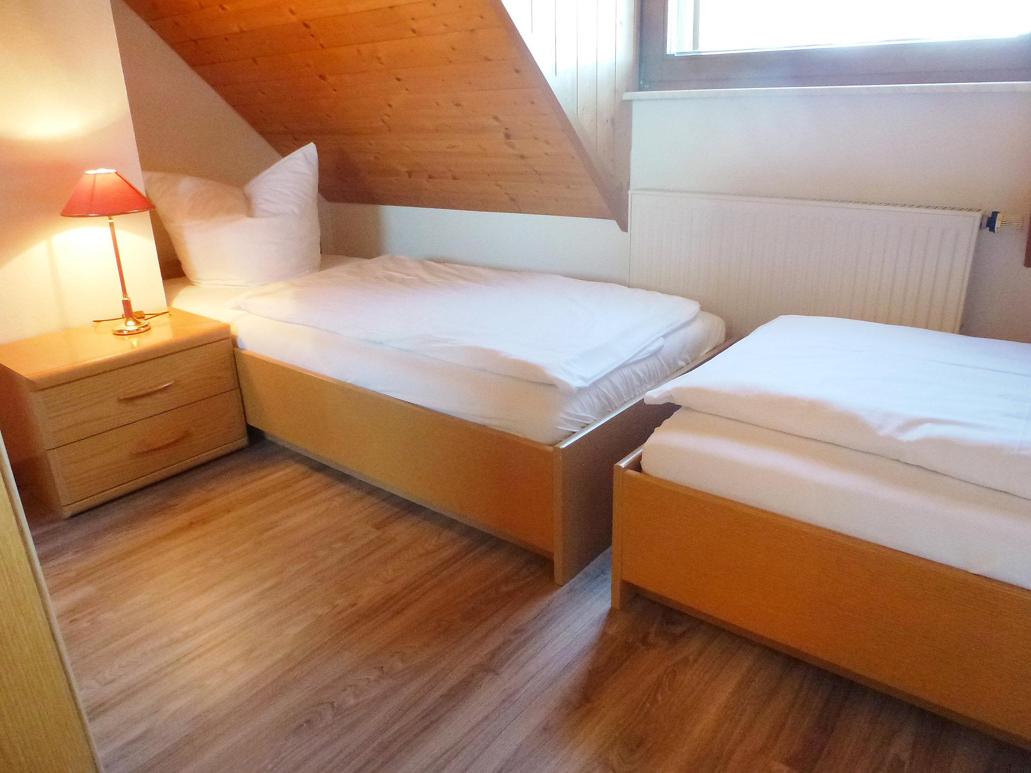 Foto 4 - Appartamento con 1 camera da letto a Schonach im Schwarzwald con giardino