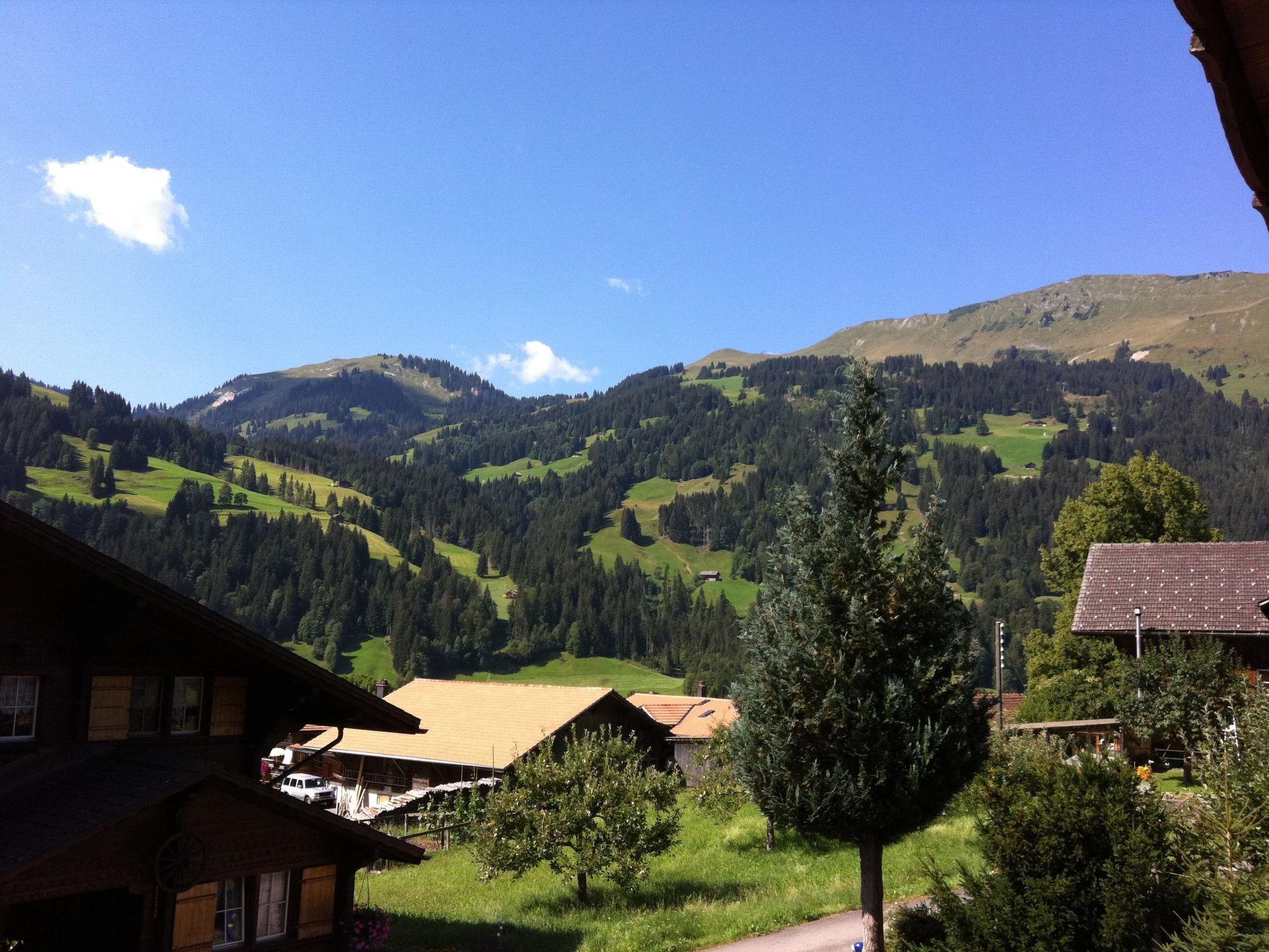 Foto 5 - Appartamento con 2 camere da letto a Sankt Stephan con giardino e vista sulle montagne