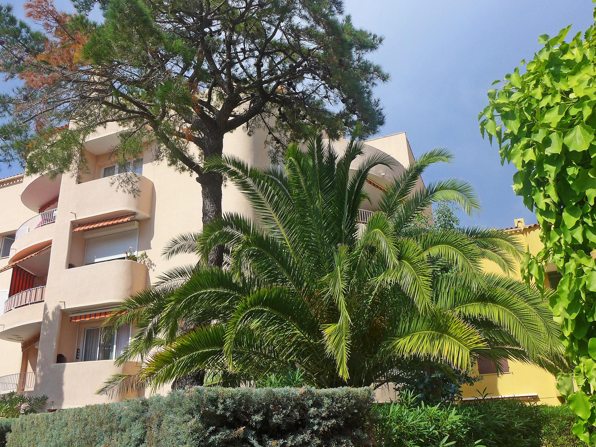 Photo 12 - 1 bedroom Apartment in Cavalaire-sur-Mer with garden and sea view