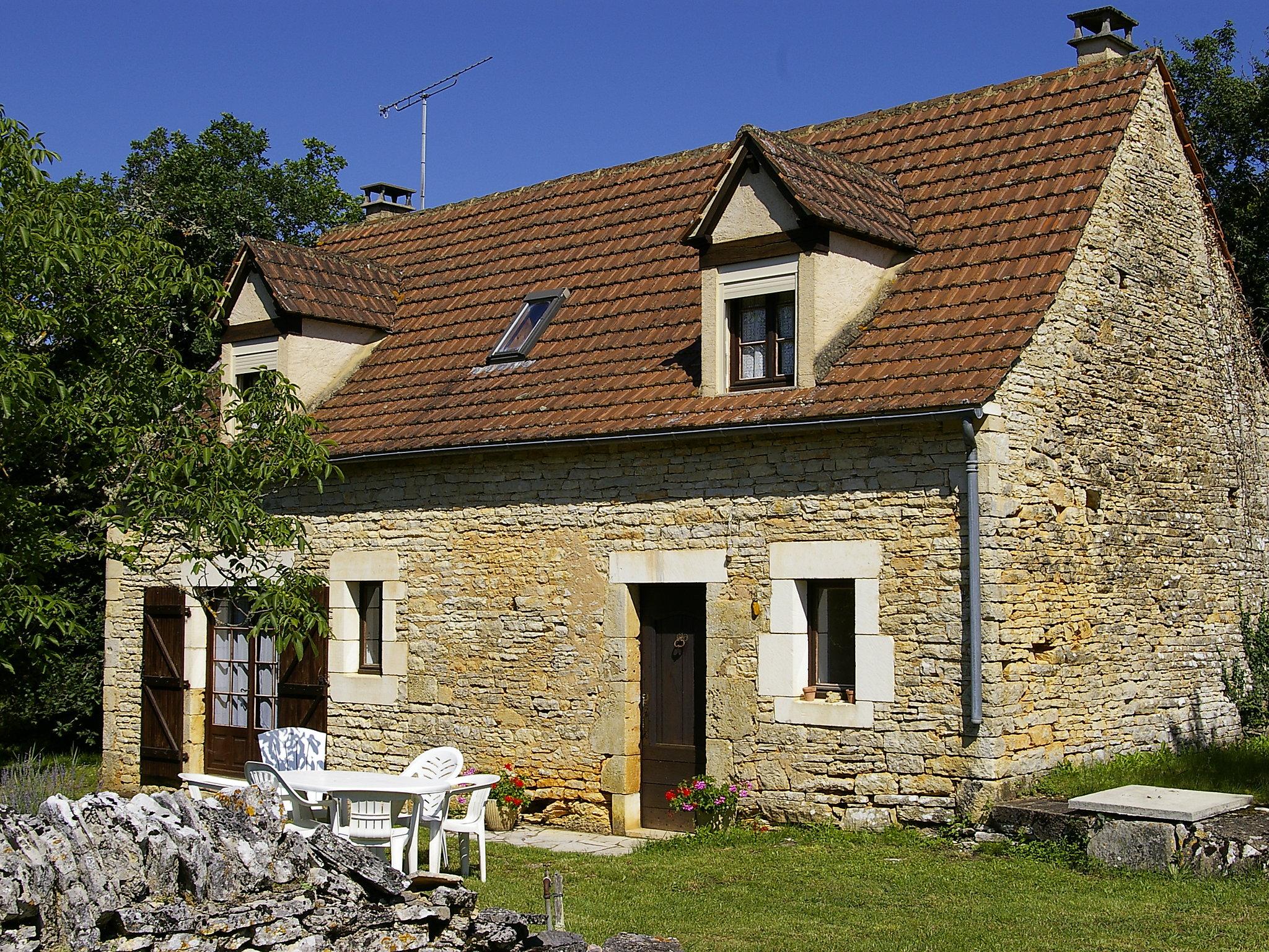 Foto 1 - Casa con 3 camere da letto a Salviac con piscina privata e giardino
