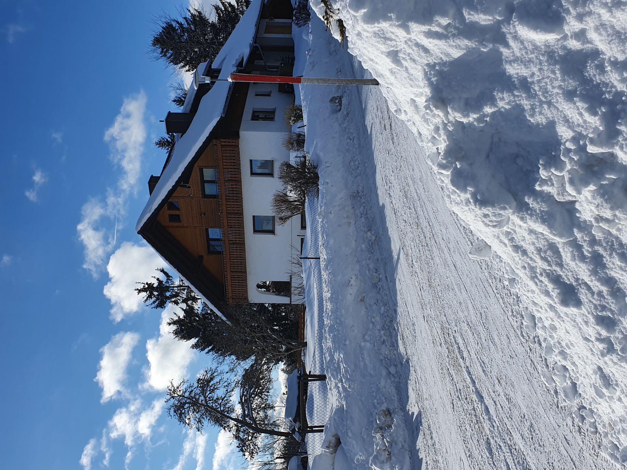 Foto 1 - Appartamento con 2 camere da letto a Eisenbach (Hochschwarzwald) con giardino e vista sulle montagne