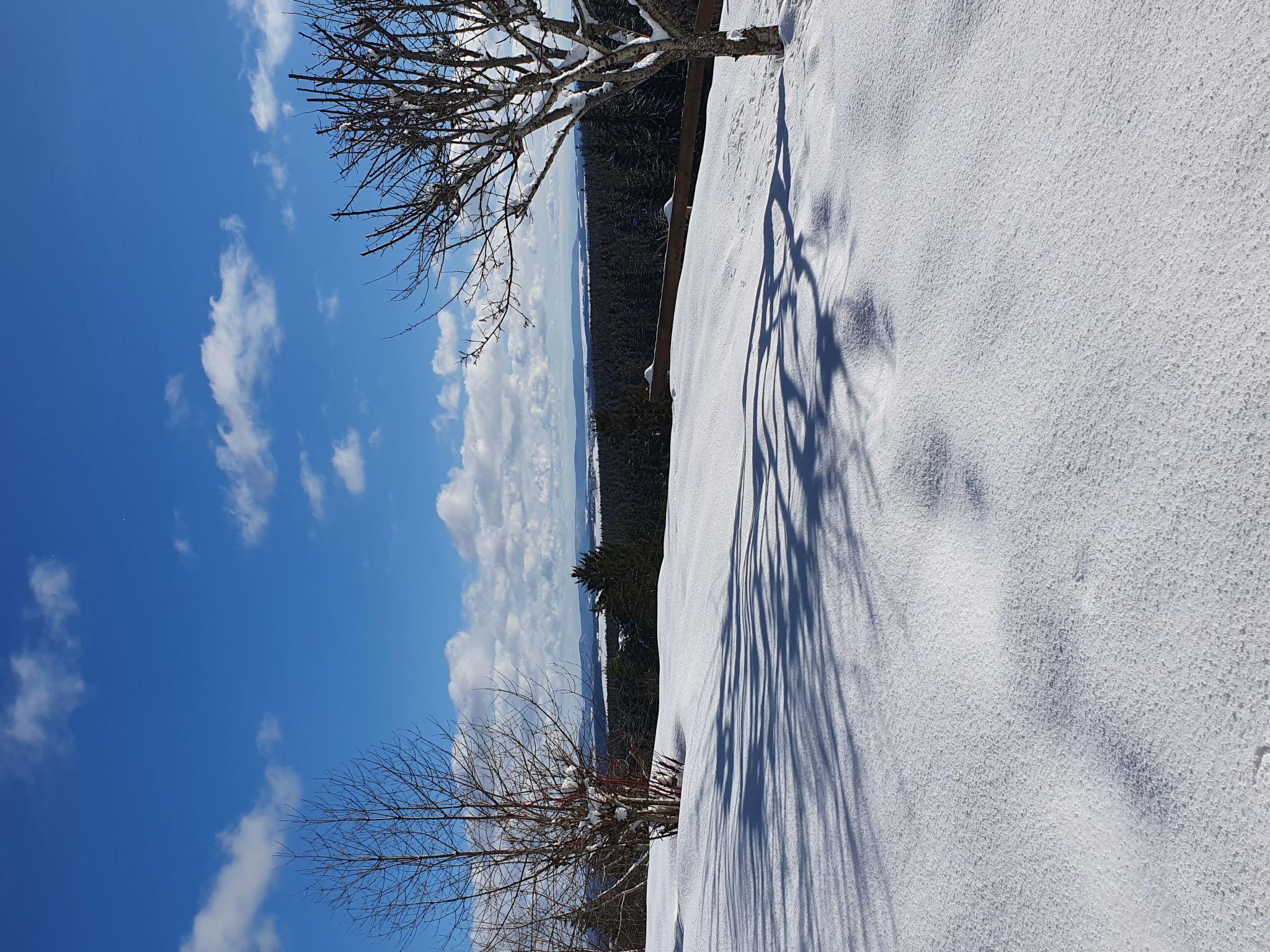 Photo 19 - 2 bedroom Apartment in Eisenbach (Hochschwarzwald) with garden and mountain view