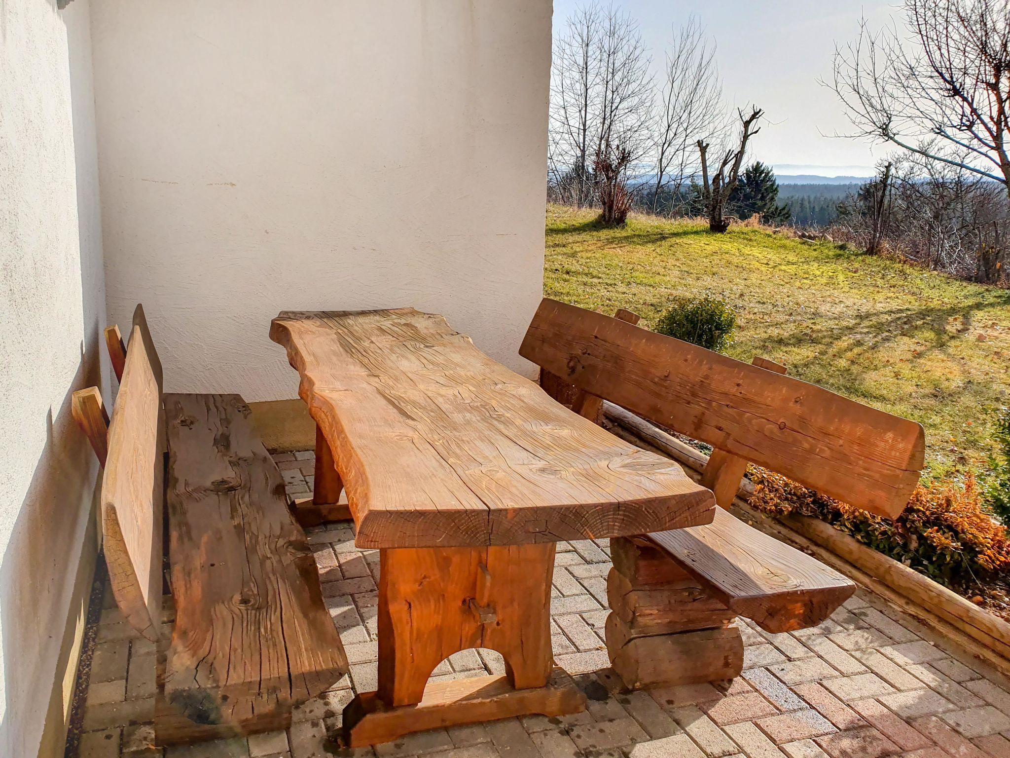 Photo 17 - Appartement de 2 chambres à Eisenbach (Hochschwarzwald) avec jardin et terrasse