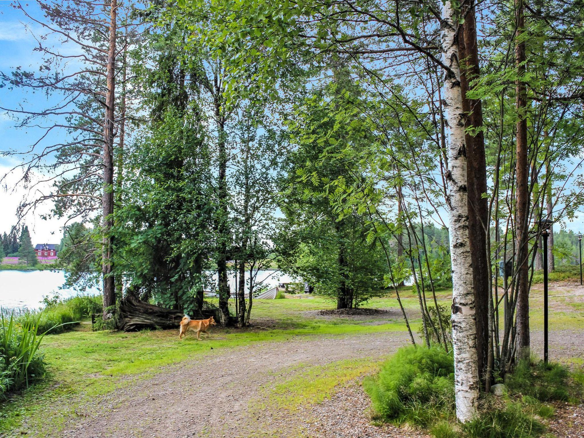 Foto 30 - Haus mit 2 Schlafzimmern in Kuhmo mit sauna