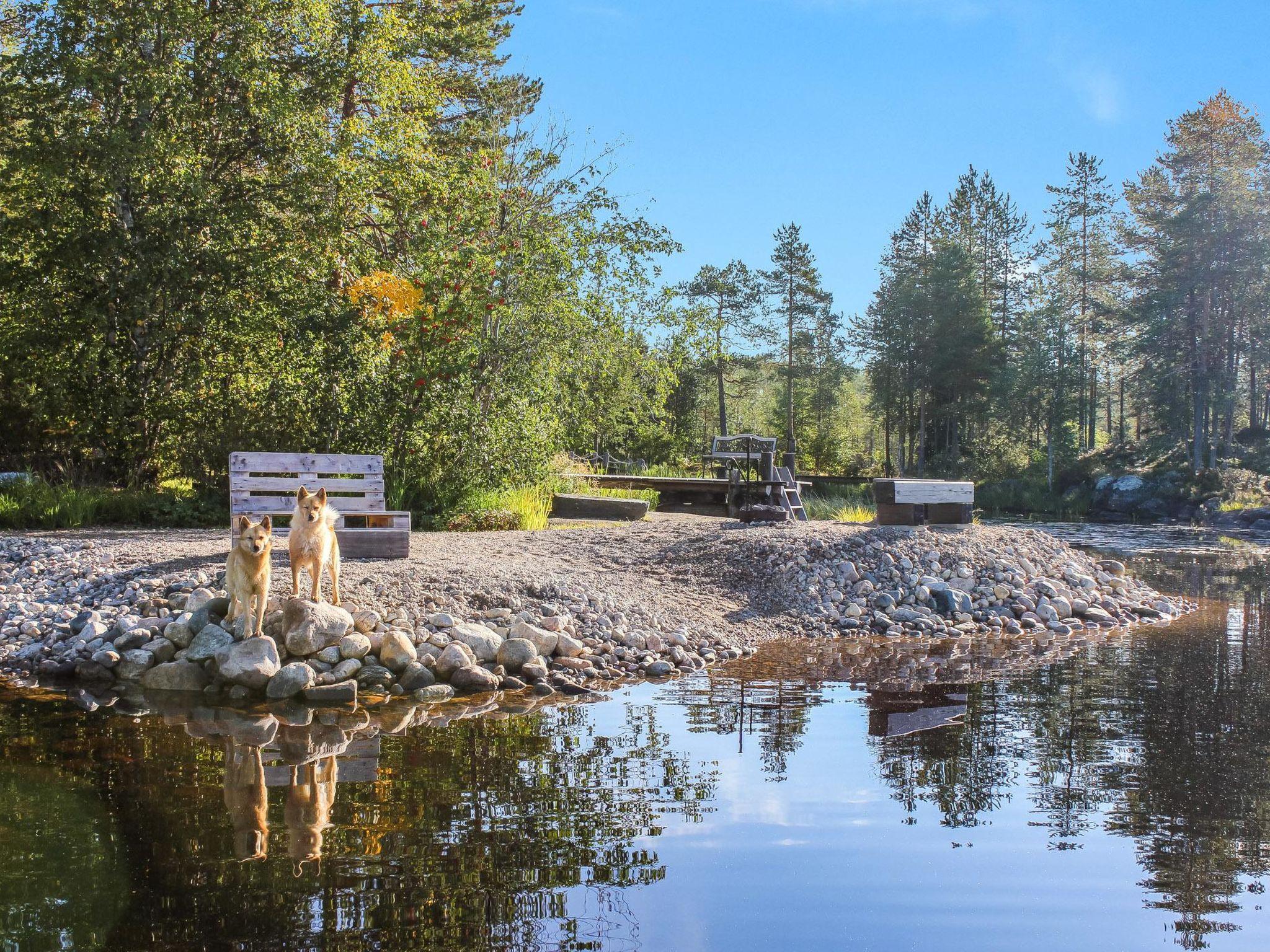 Photo 29 - Maison de 2 chambres à Kuhmo avec sauna