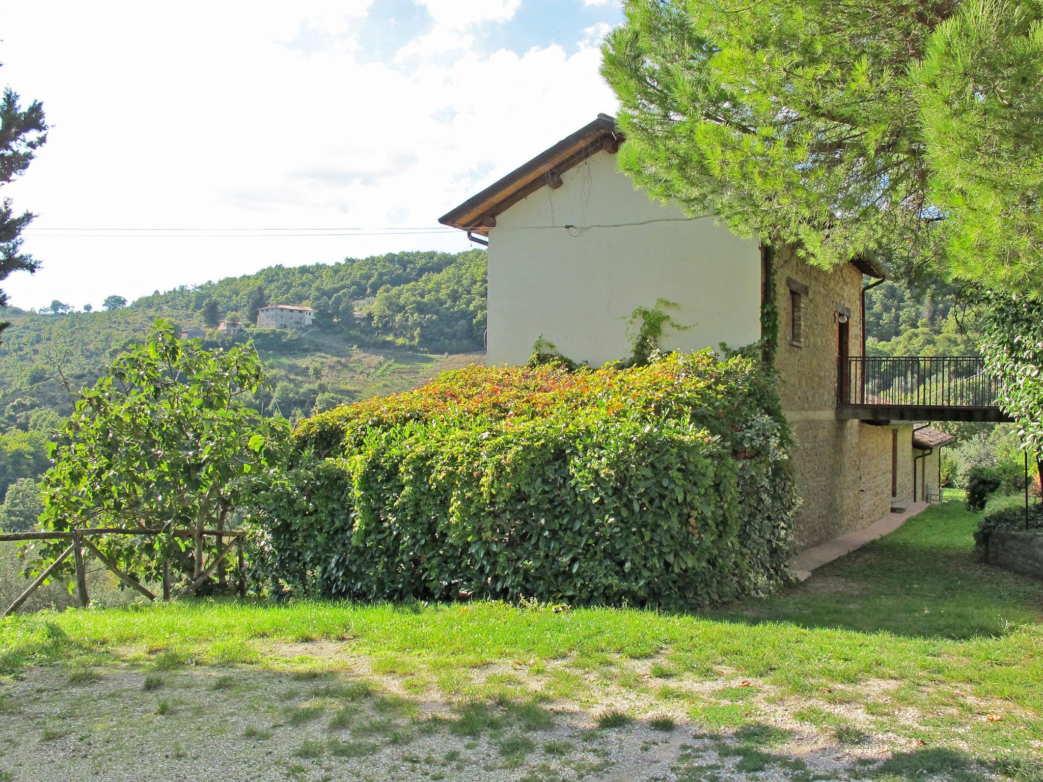 Foto 21 - Casa con 3 camere da letto a Monte Santa Maria Tiberina con piscina e terrazza