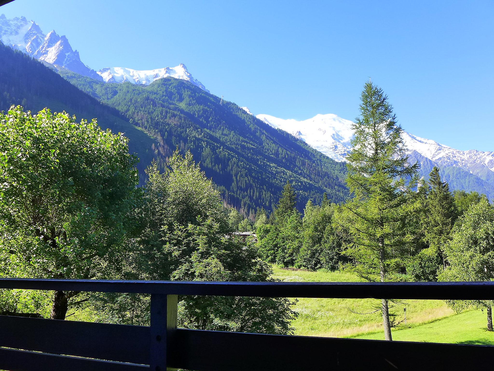 Foto 16 - Appartamento con 2 camere da letto a Chamonix-Mont-Blanc con giardino