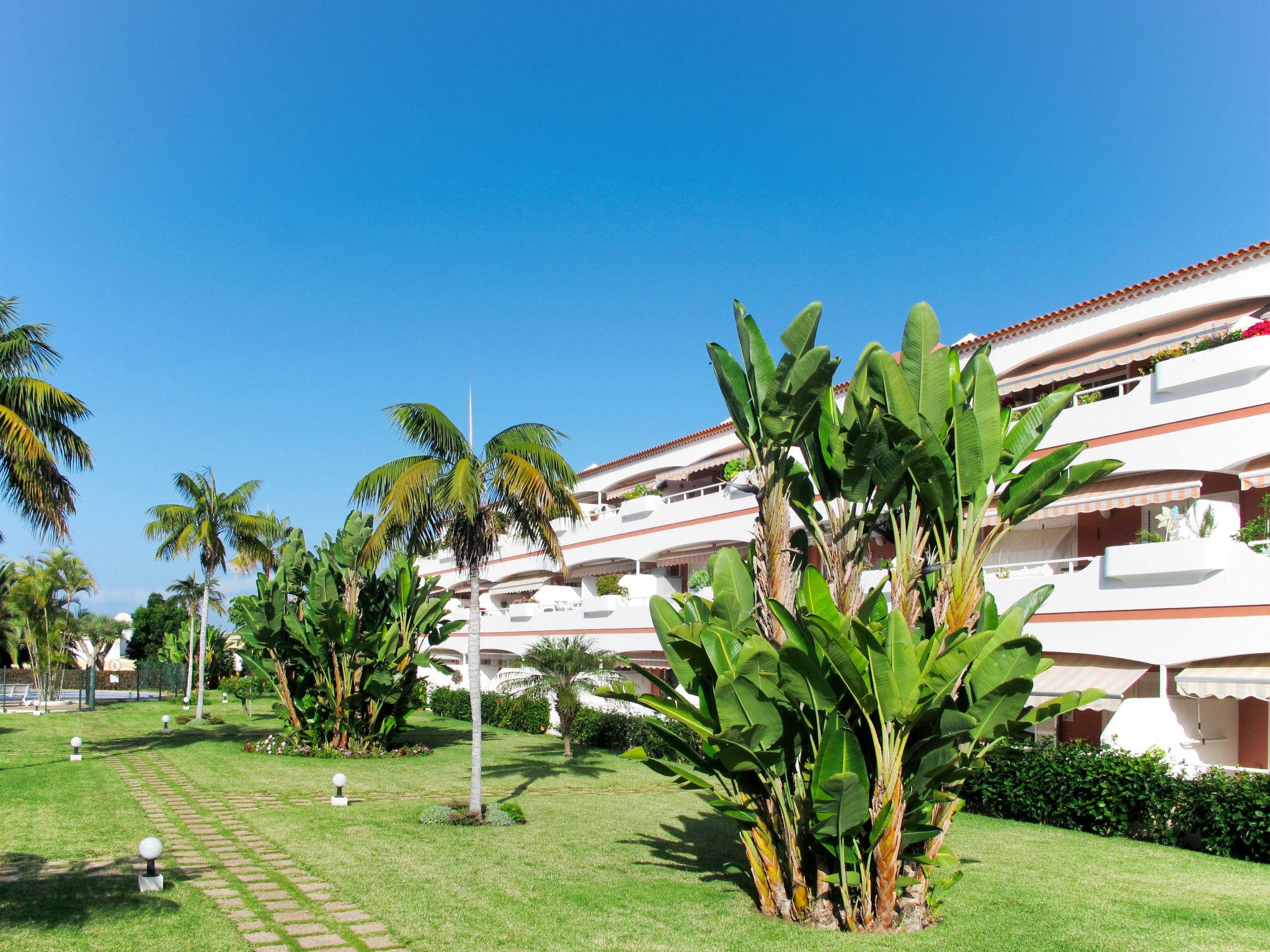 Photo 24 - Appartement de 1 chambre à Puerto de la Cruz avec piscine et jardin