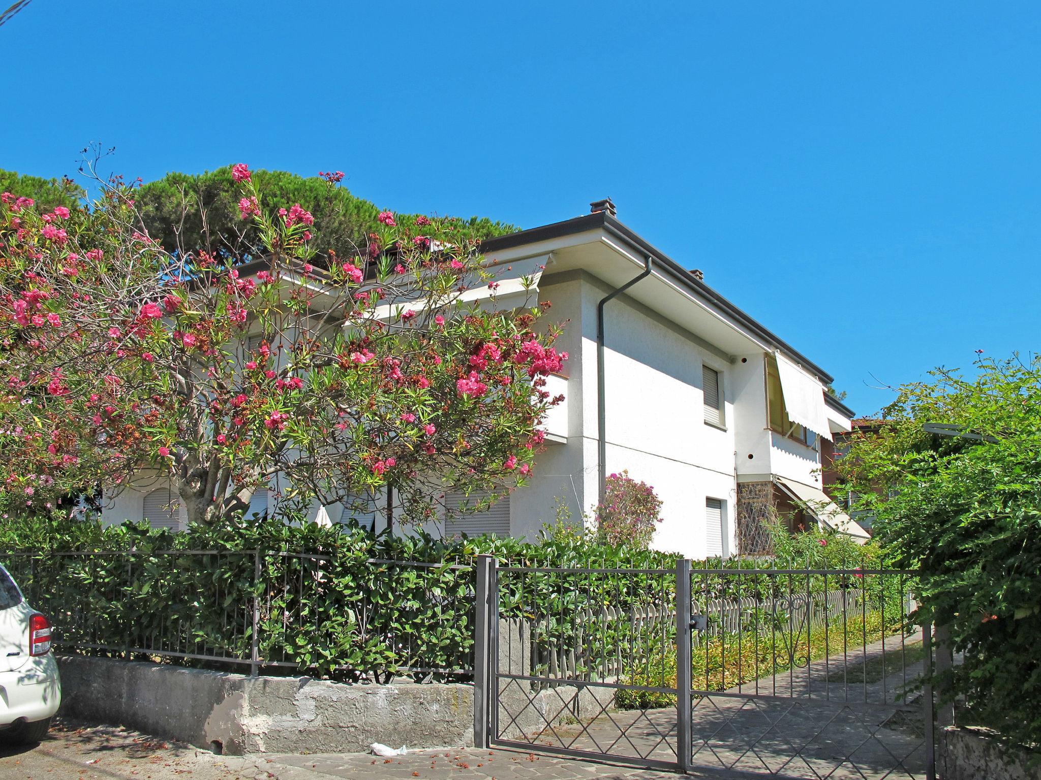 Foto 2 - Appartamento con 2 camere da letto a Camaiore con giardino