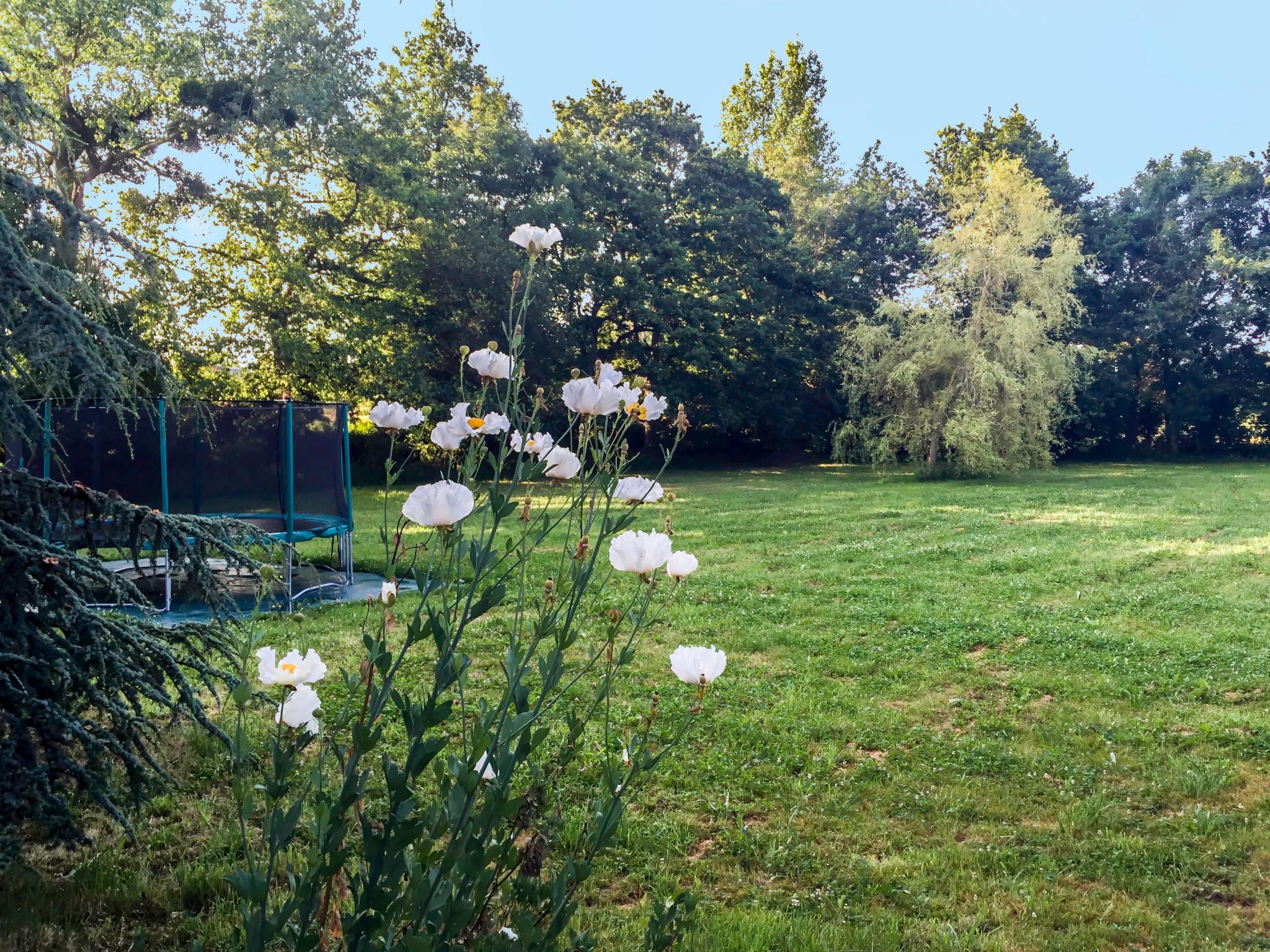 Photo 31 - Maison de 4 chambres à Saint-Pair-sur-Mer avec jardin et terrasse