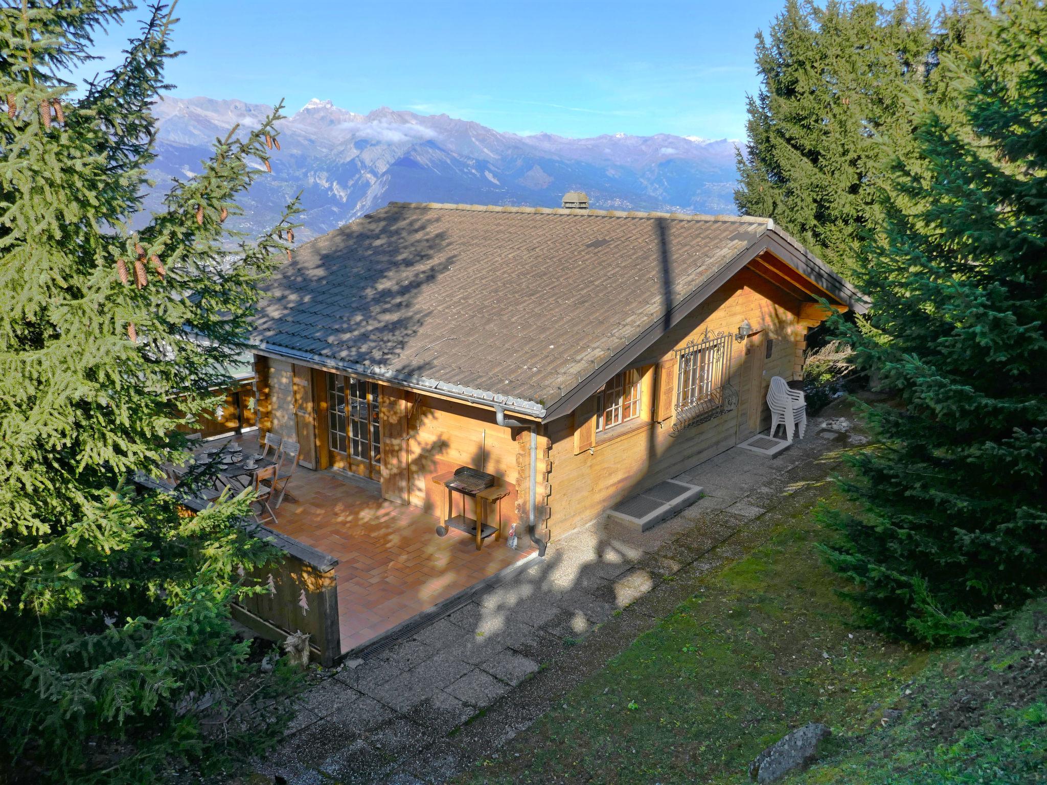 Foto 27 - Casa de 3 habitaciones en Nendaz con jardín y vistas a la montaña