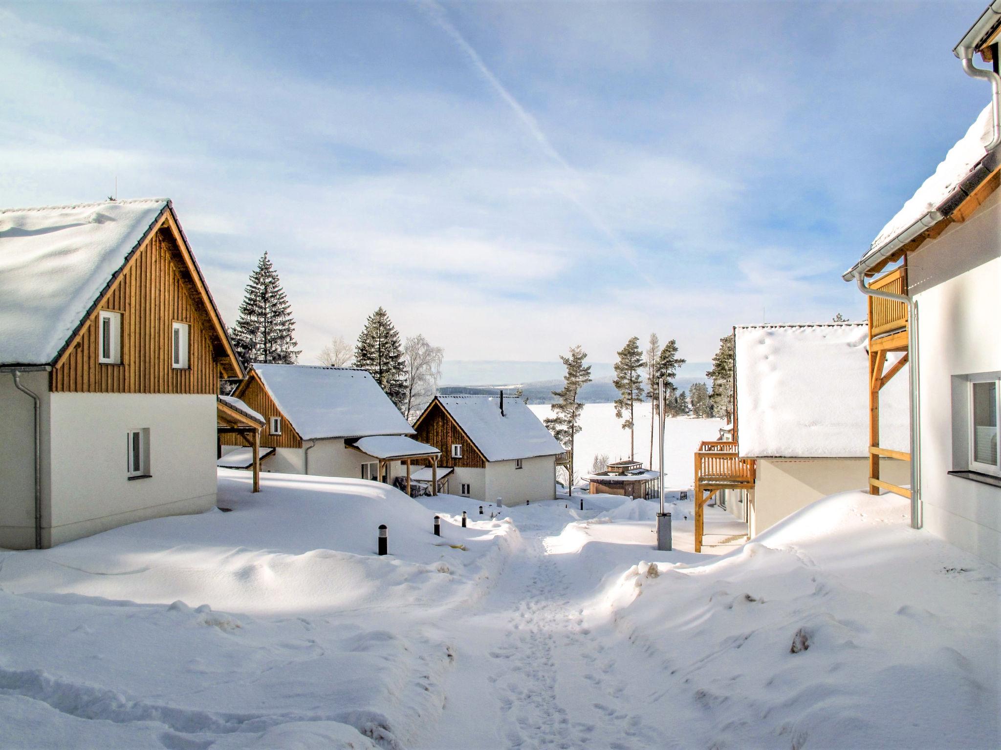 Photo 31 - Maison de 3 chambres à Frymburk avec terrasse et vues sur la montagne