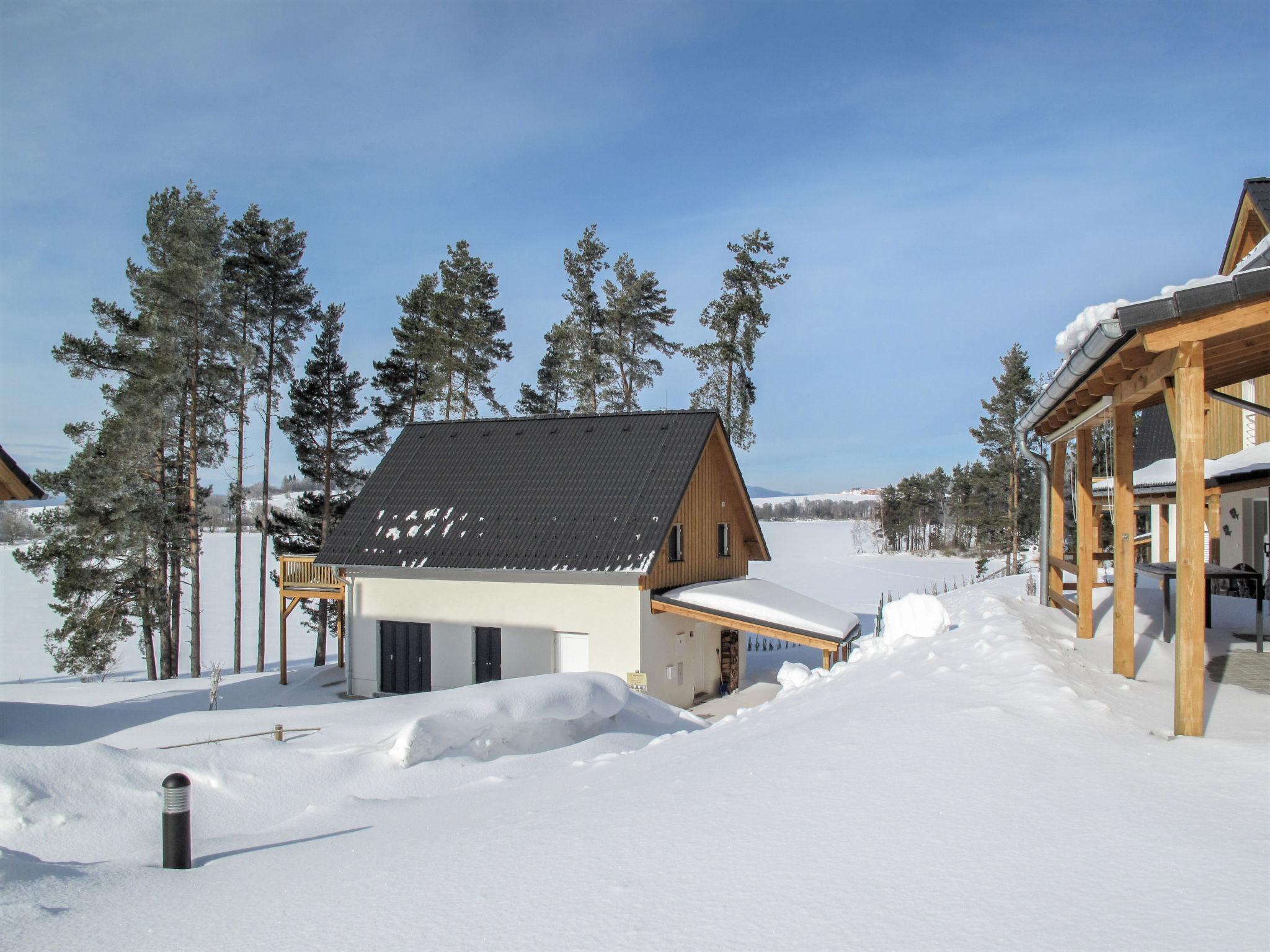 Photo 30 - Maison de 3 chambres à Frymburk avec terrasse et vues sur la montagne