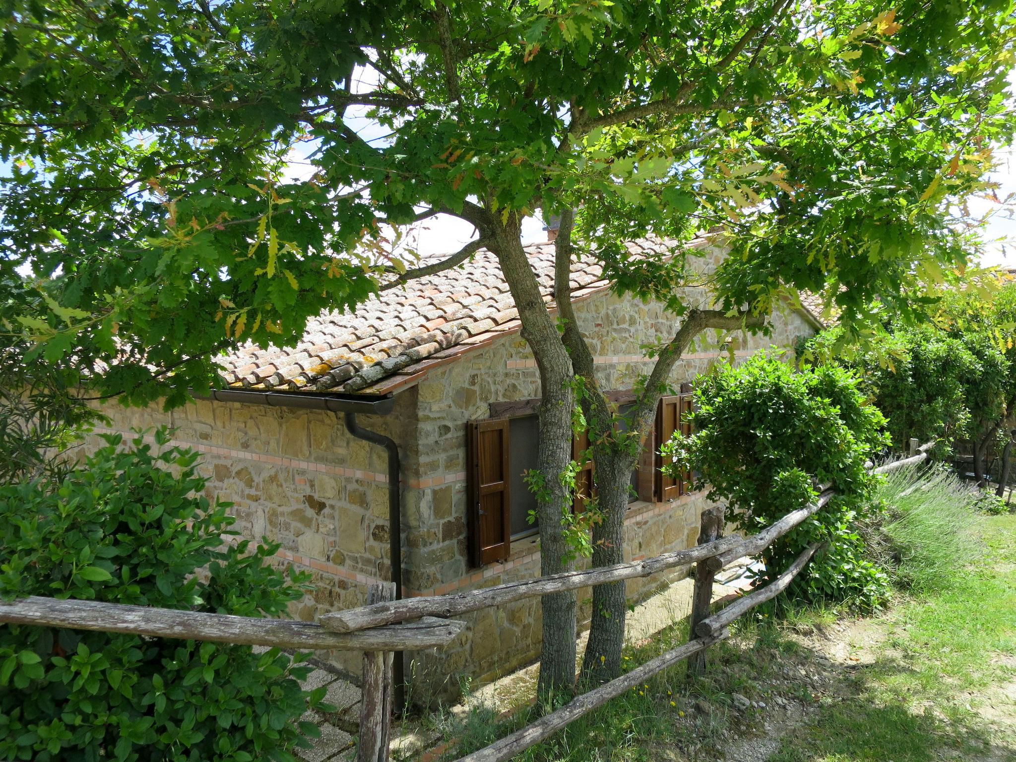 Foto 8 - Casa de 2 quartos em Paciano com piscina e jardim