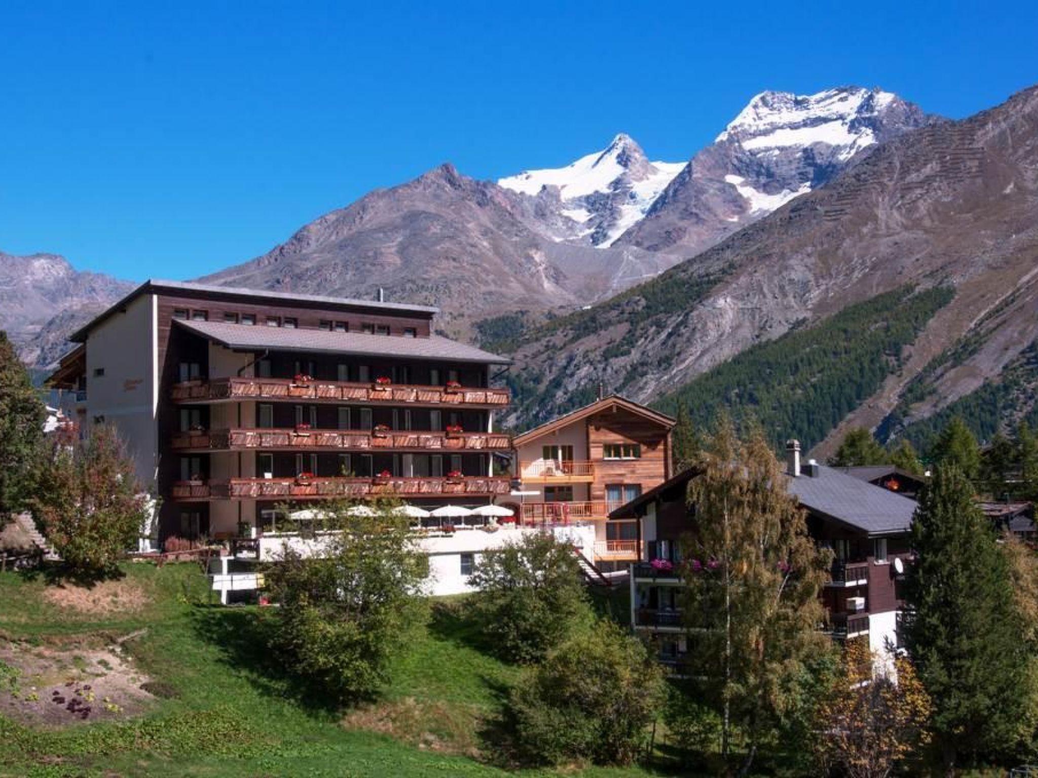 Foto 42 - Apartment mit 3 Schlafzimmern in Saas-Fee