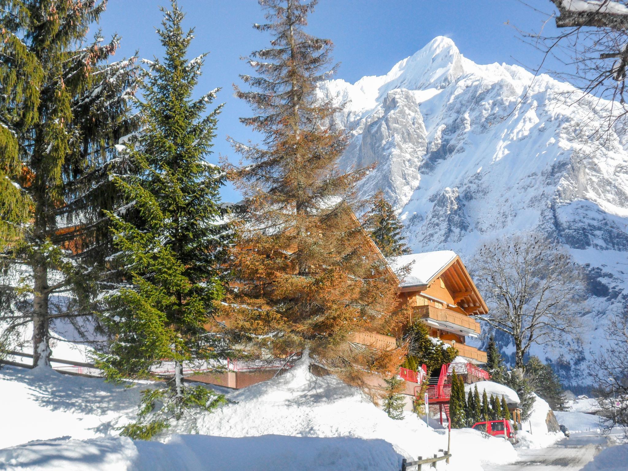 Foto 15 - Appartamento con 2 camere da letto a Grindelwald con vista sulle montagne