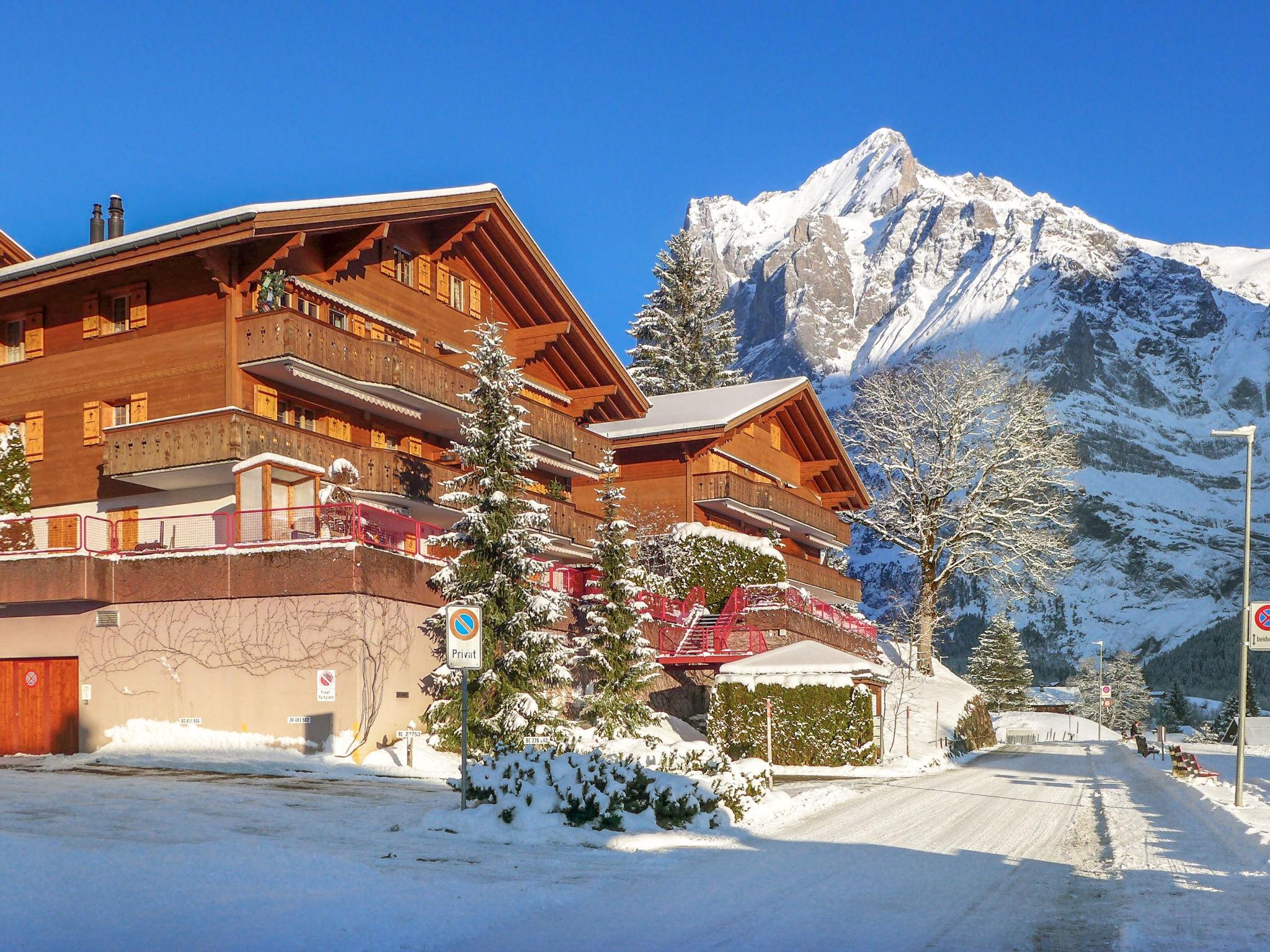 Foto 16 - Appartamento con 2 camere da letto a Grindelwald con vista sulle montagne