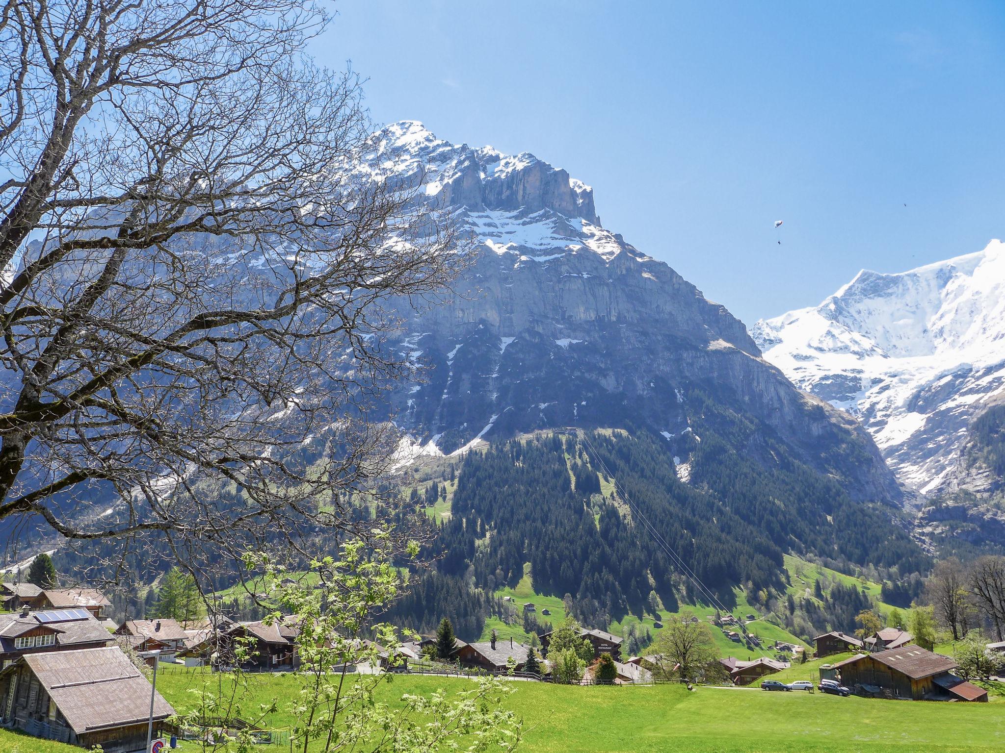 Foto 11 - Apartamento de 2 quartos em Grindelwald com vista para a montanha
