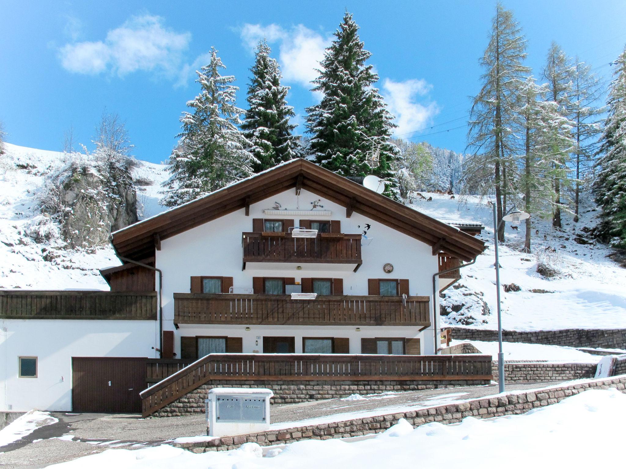 Foto 23 - Apartamento de 2 quartos em Campitello di Fassa com terraço