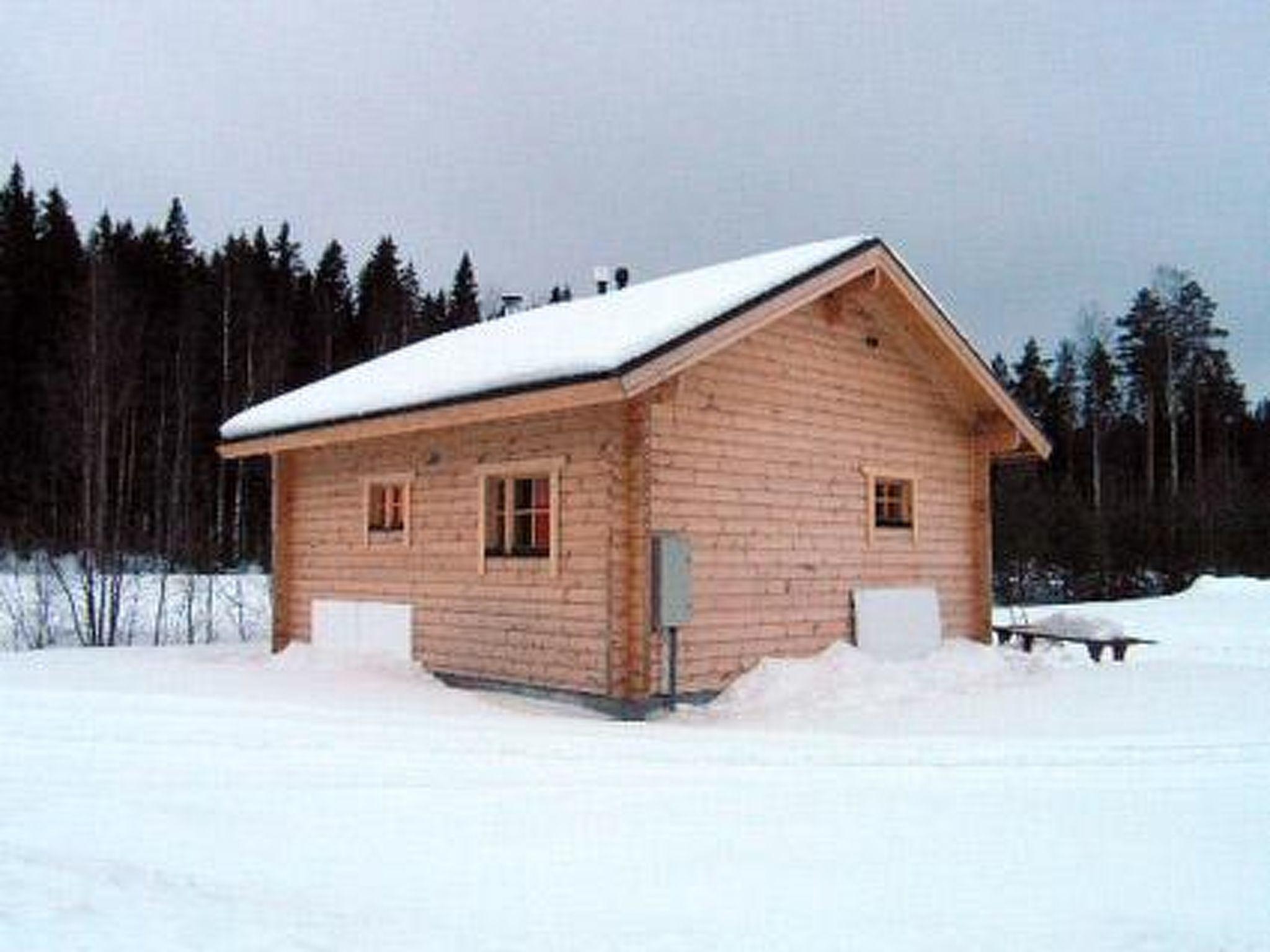 Photo 26 - Maison de 1 chambre à Punkalaidun avec sauna