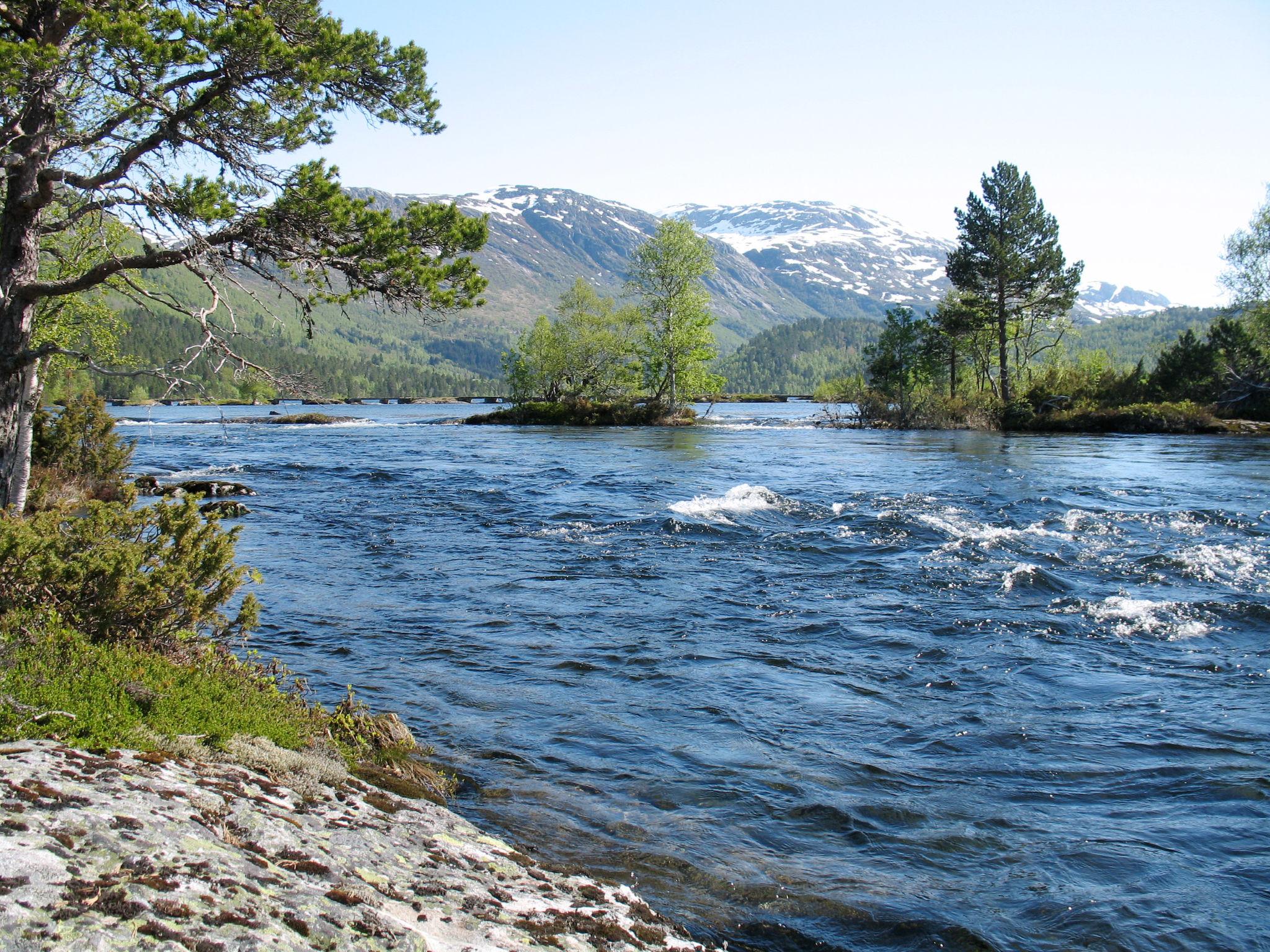 Photo 20 - 2 bedroom House in Viksdalen with garden and terrace