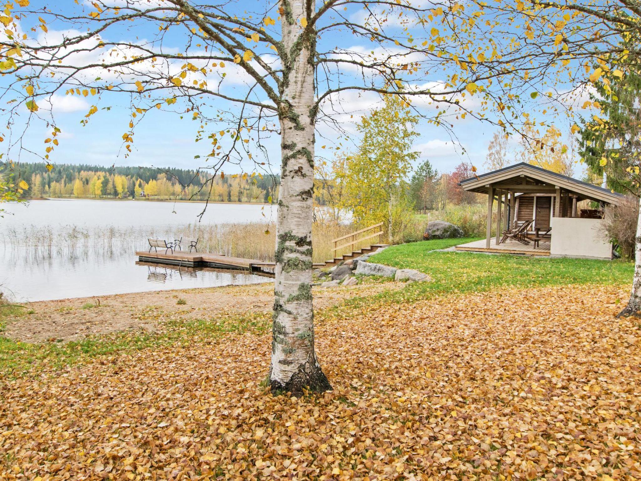 Foto 2 - Haus mit 2 Schlafzimmern in Petäjävesi mit sauna