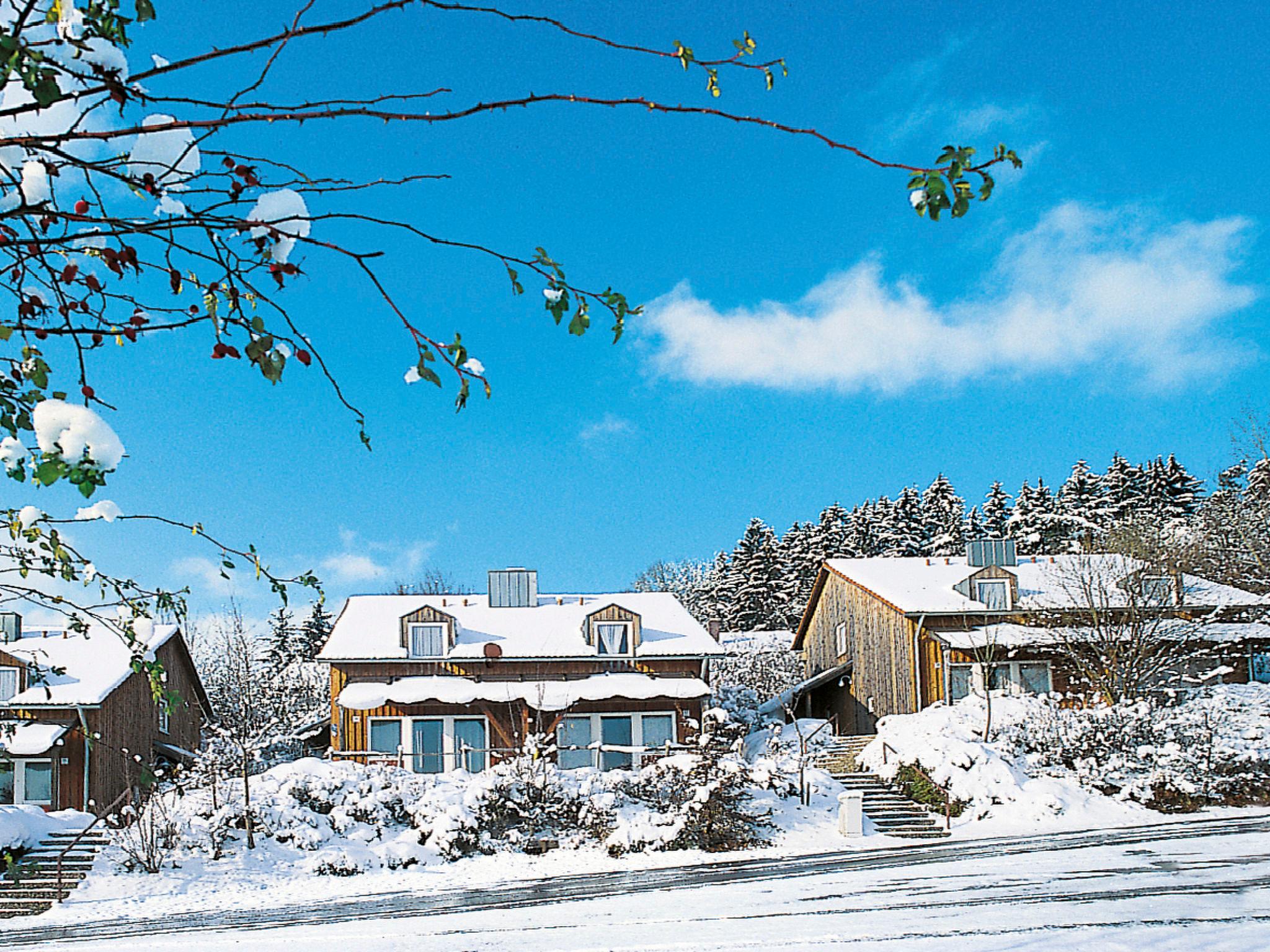 Photo 32 - Maison de 2 chambres à Zandt avec terrasse et vues sur la montagne