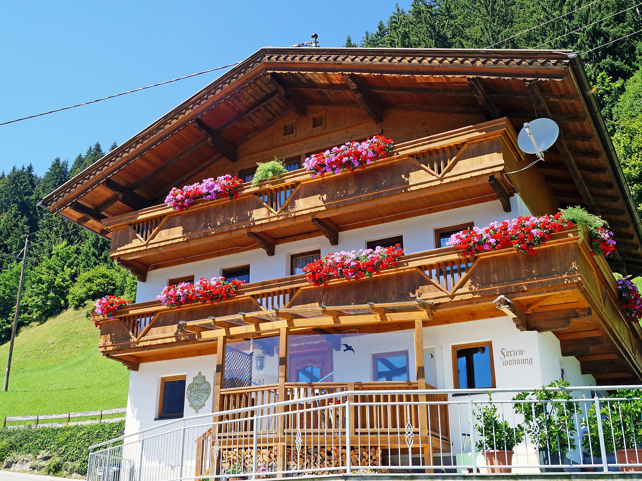 Foto 1 - Appartamento con 2 camere da letto a Hippach con terrazza e vista sulle montagne