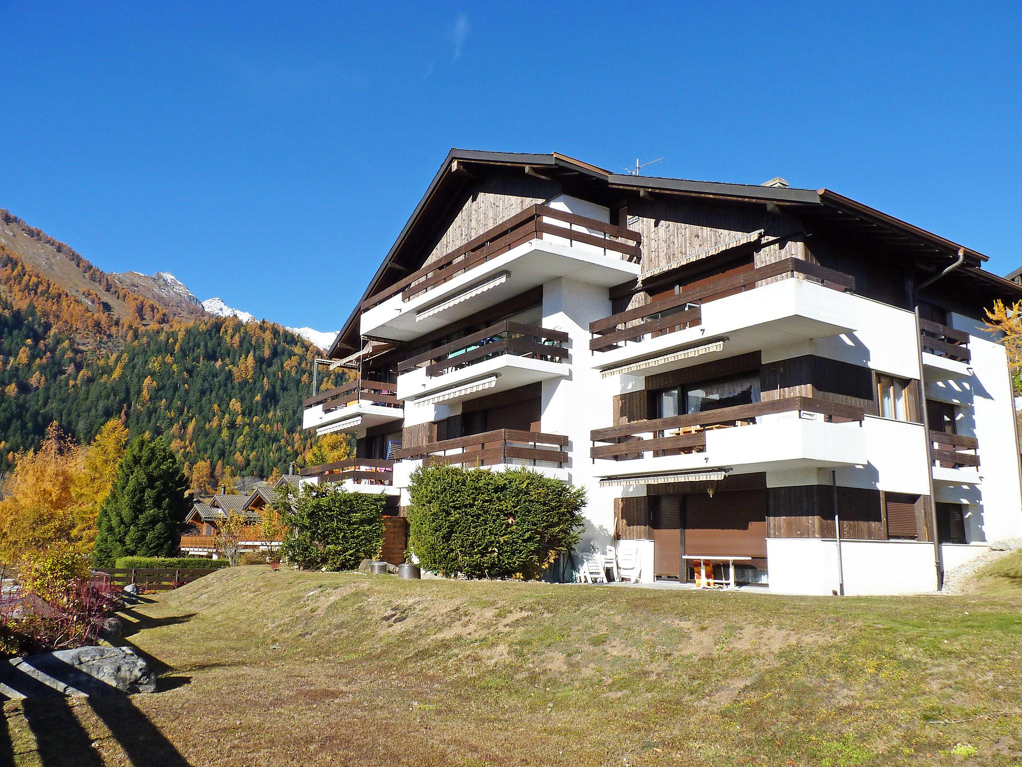 Foto 13 - Apartamento de 2 habitaciones en Leytron con vistas a la montaña