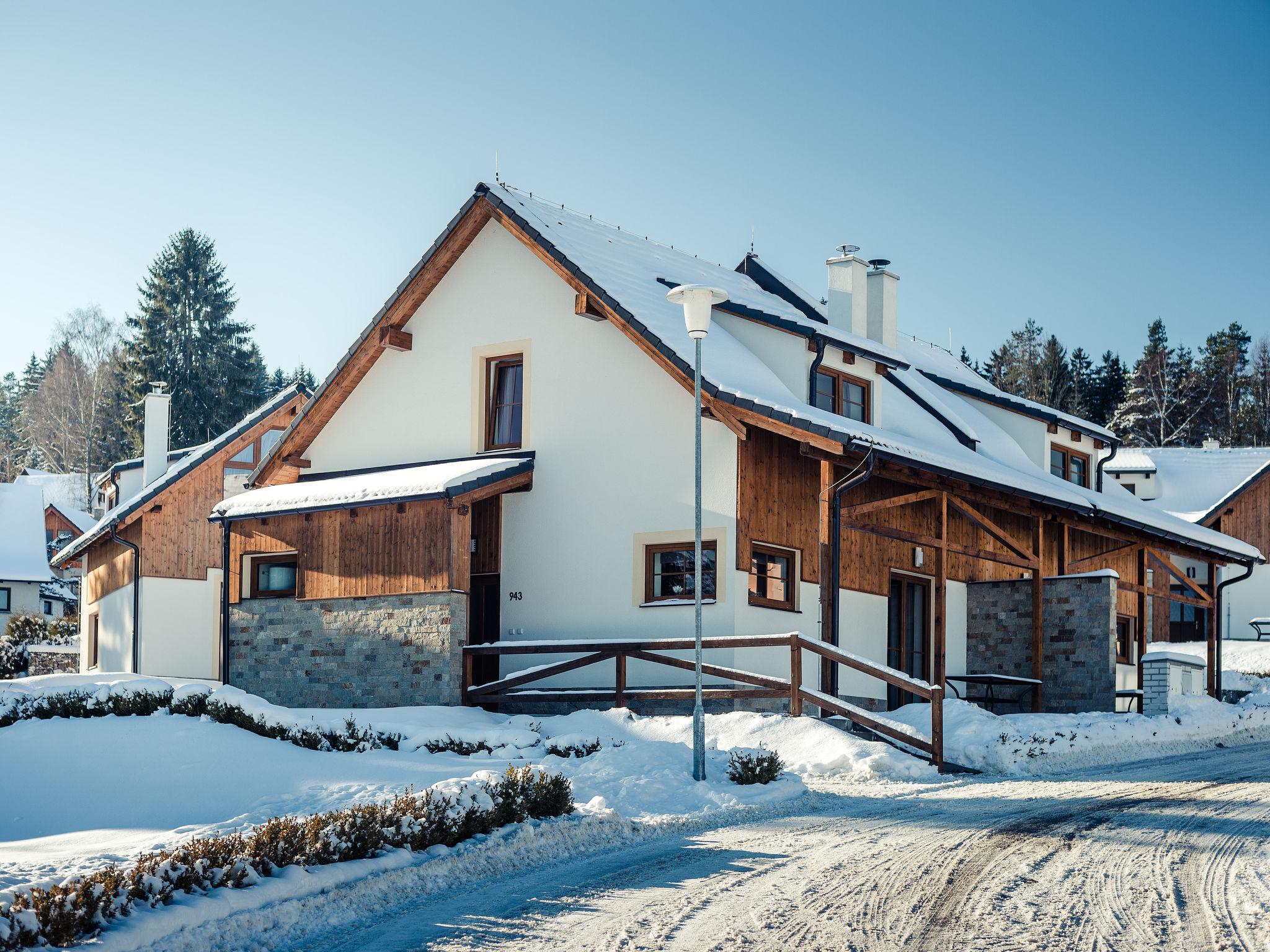 Photo 16 - Maison de 2 chambres à Lipno nad Vltavou avec jardin et vues sur la montagne