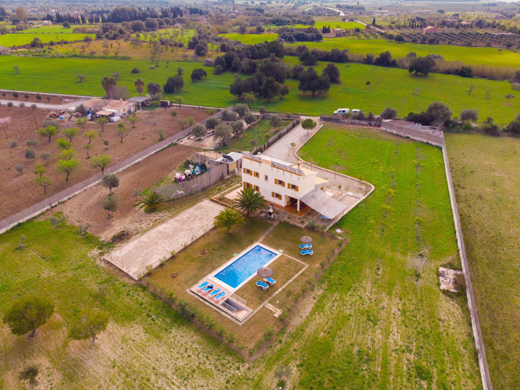 Foto 37 - Casa de 4 quartos em Selva com piscina privada e jardim