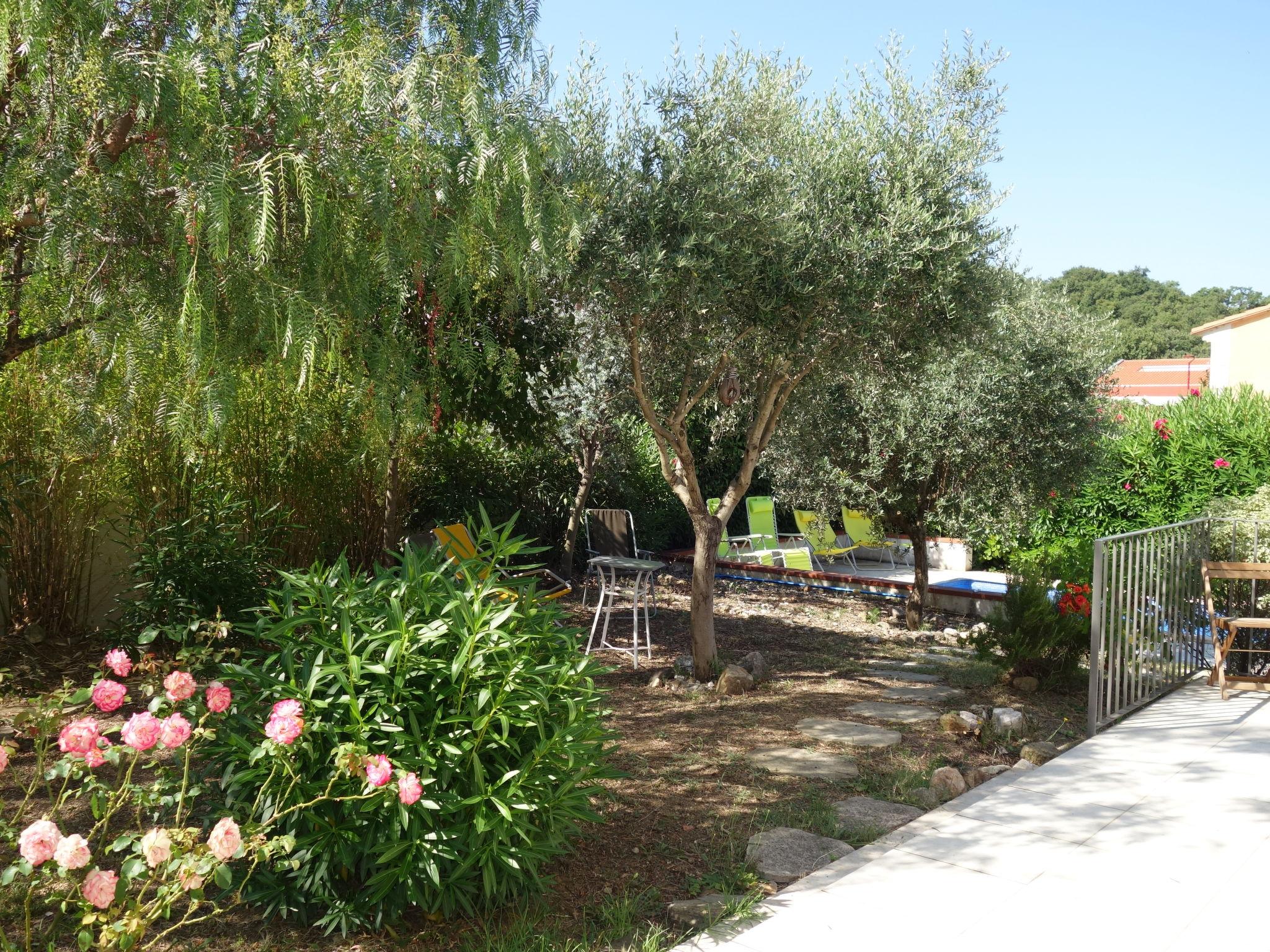 Photo 26 - Maison de 2 chambres à Montesquieu-des-Albères avec piscine privée et jardin