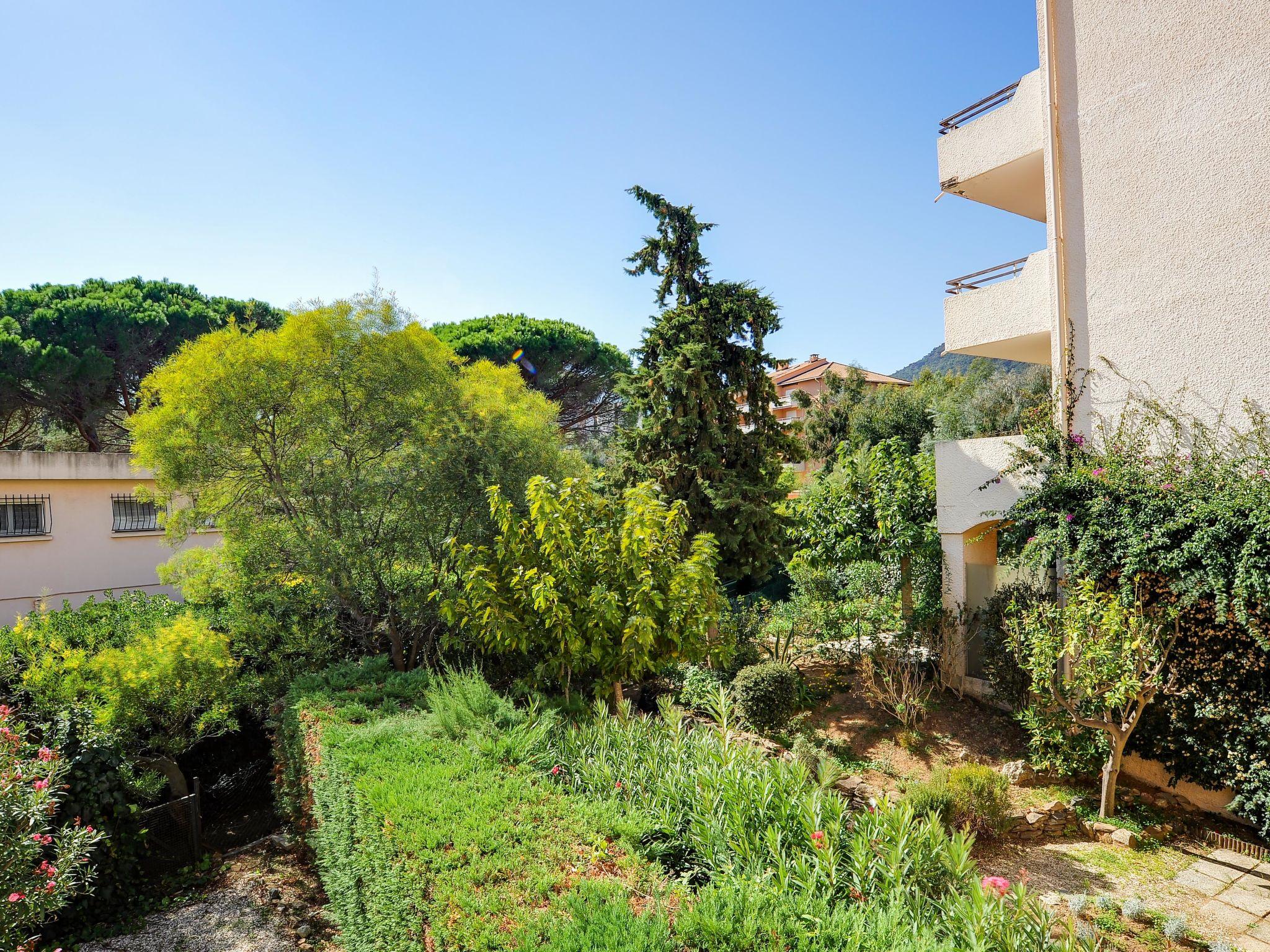 Photo 16 - Appartement de 1 chambre à Cavalaire-sur-Mer avec terrasse