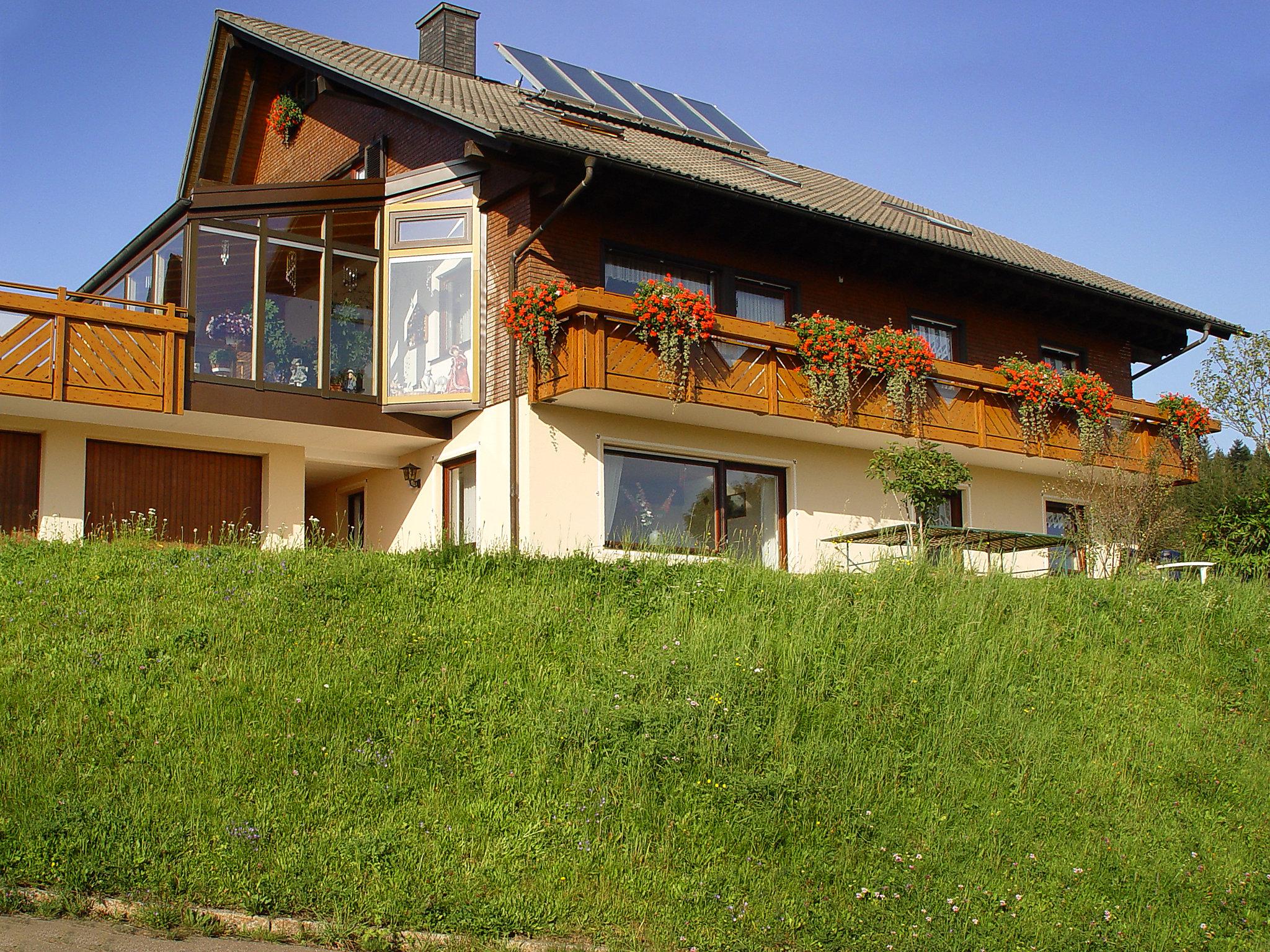 Foto 16 - Appartamento con 2 camere da letto a Furtwangen im Schwarzwald con terrazza e vista sulle montagne