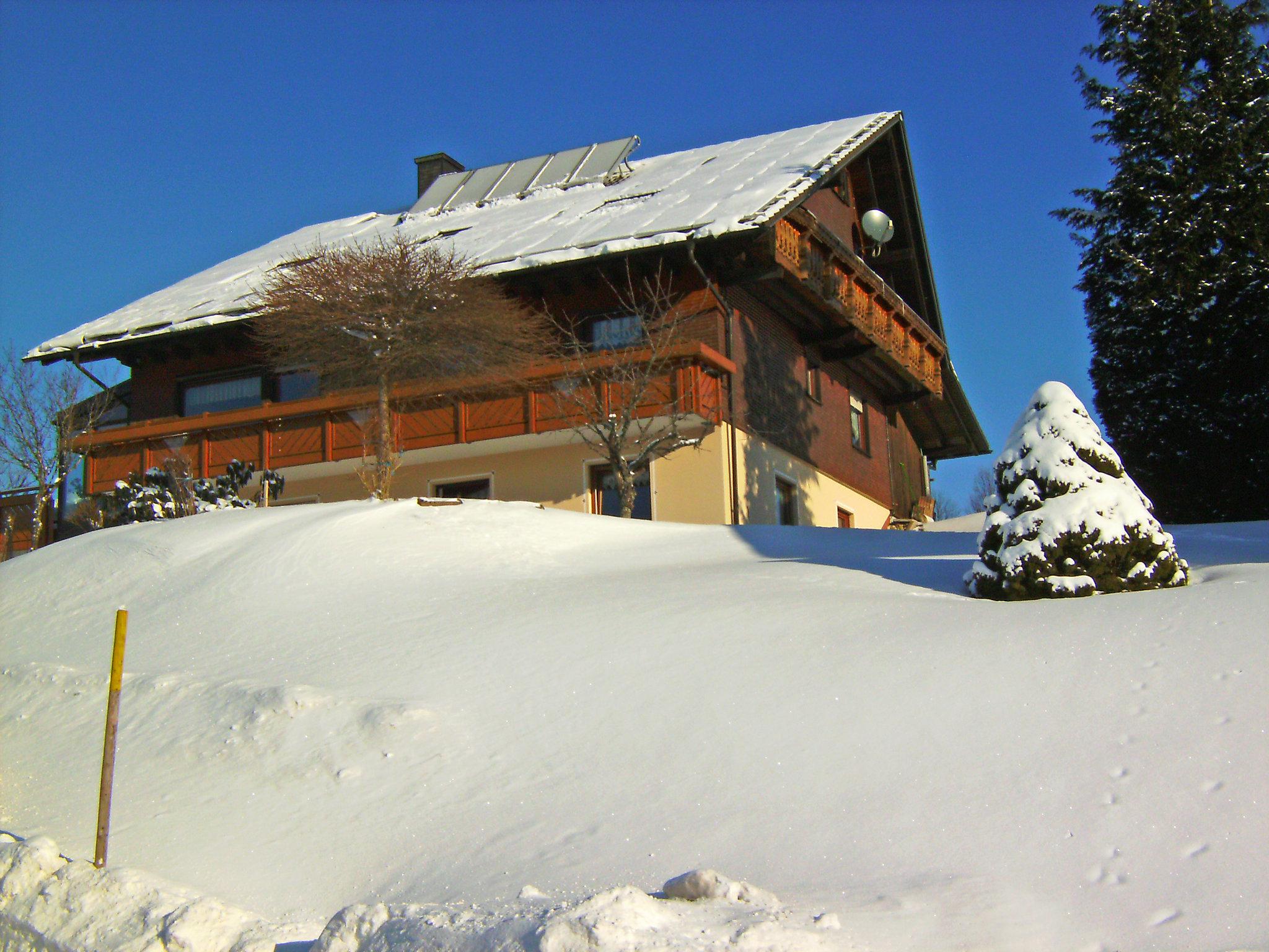 Foto 18 - Apartamento de 2 quartos em Furtwangen im Schwarzwald com terraço e vista para a montanha