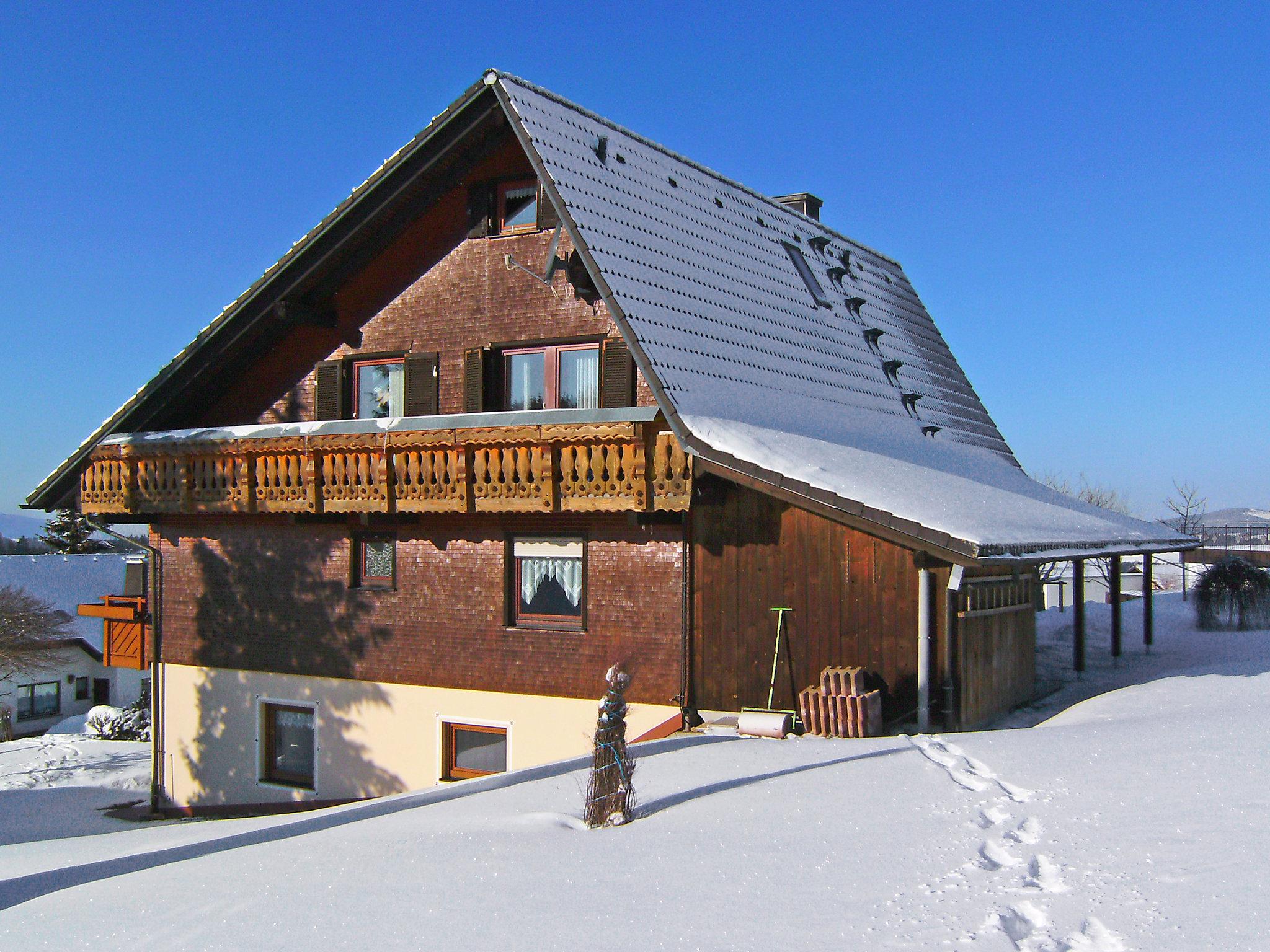 Foto 19 - Appartamento con 2 camere da letto a Furtwangen im Schwarzwald con terrazza e vista sulle montagne