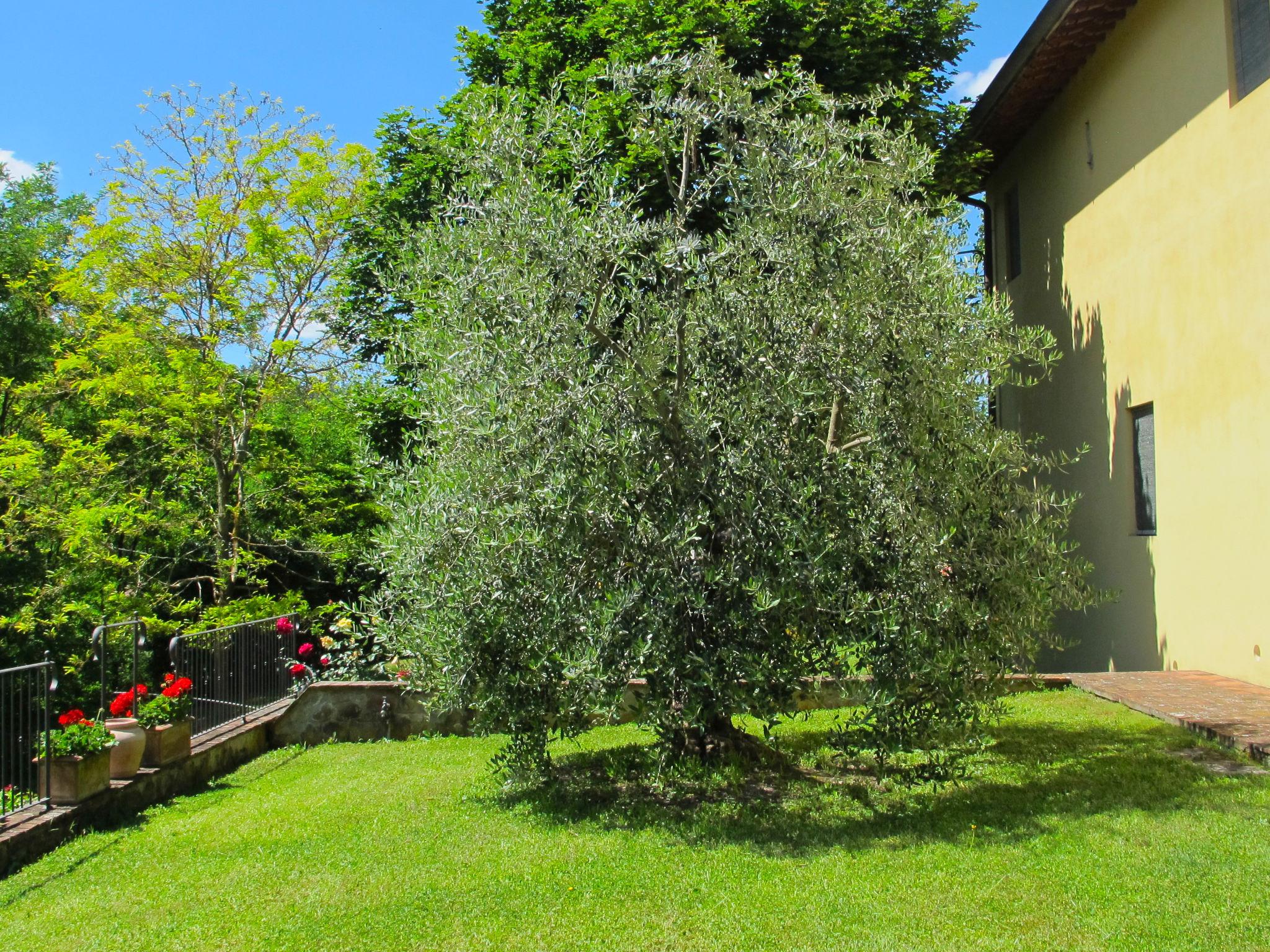 Foto 68 - Casa de 6 quartos em San Giovanni Valdarno com piscina privada e jardim