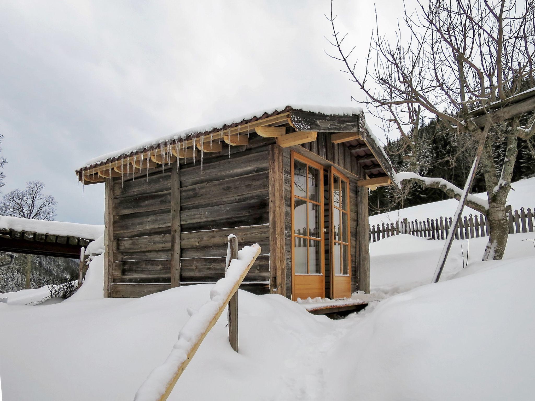 Photo 27 - Appartement de 5 chambres à Ramsau am Dachstein avec sauna et vues sur la montagne