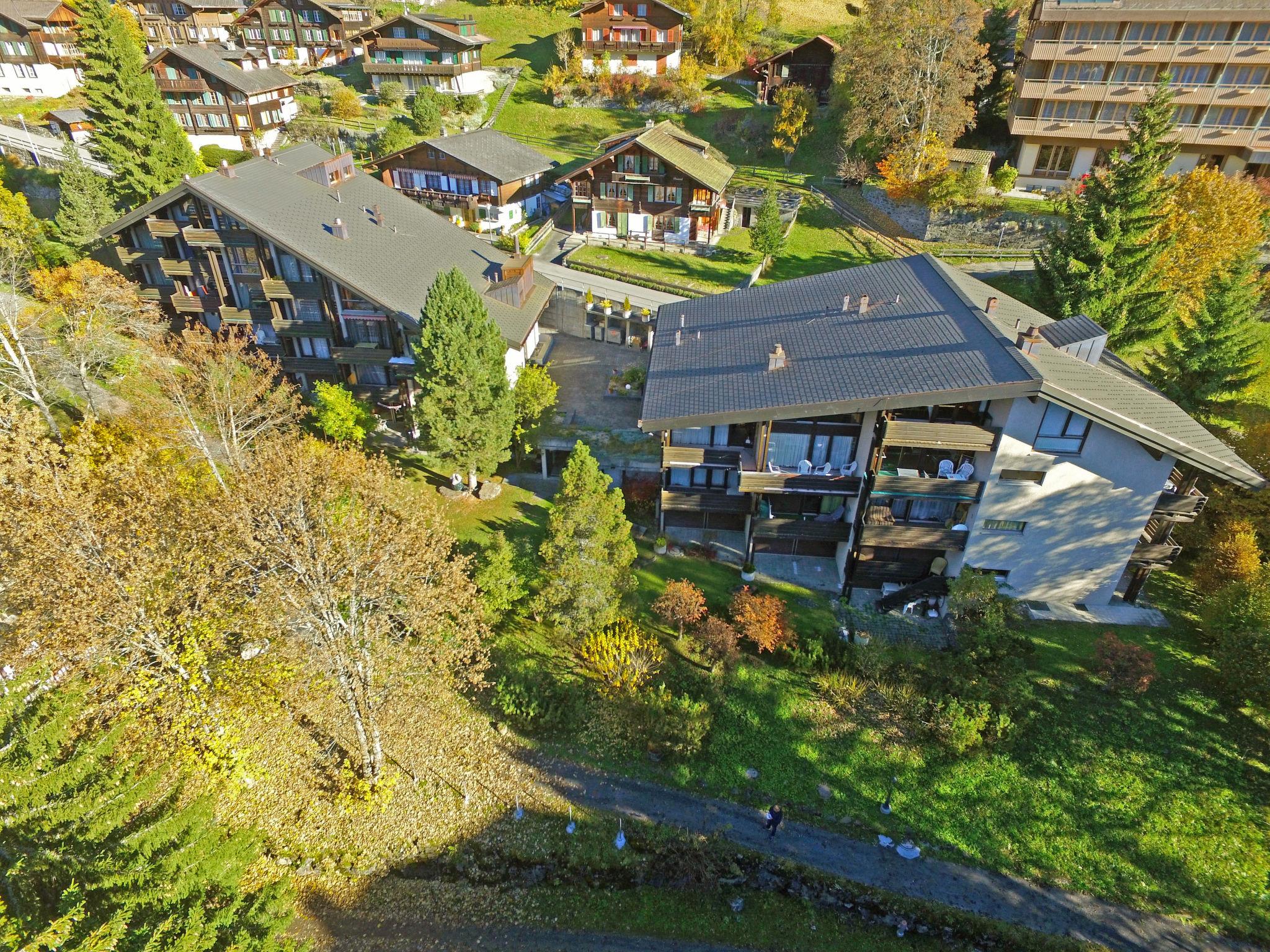 Foto 29 - Apartamento de 2 quartos em Lauterbrunnen com sauna e vista para a montanha