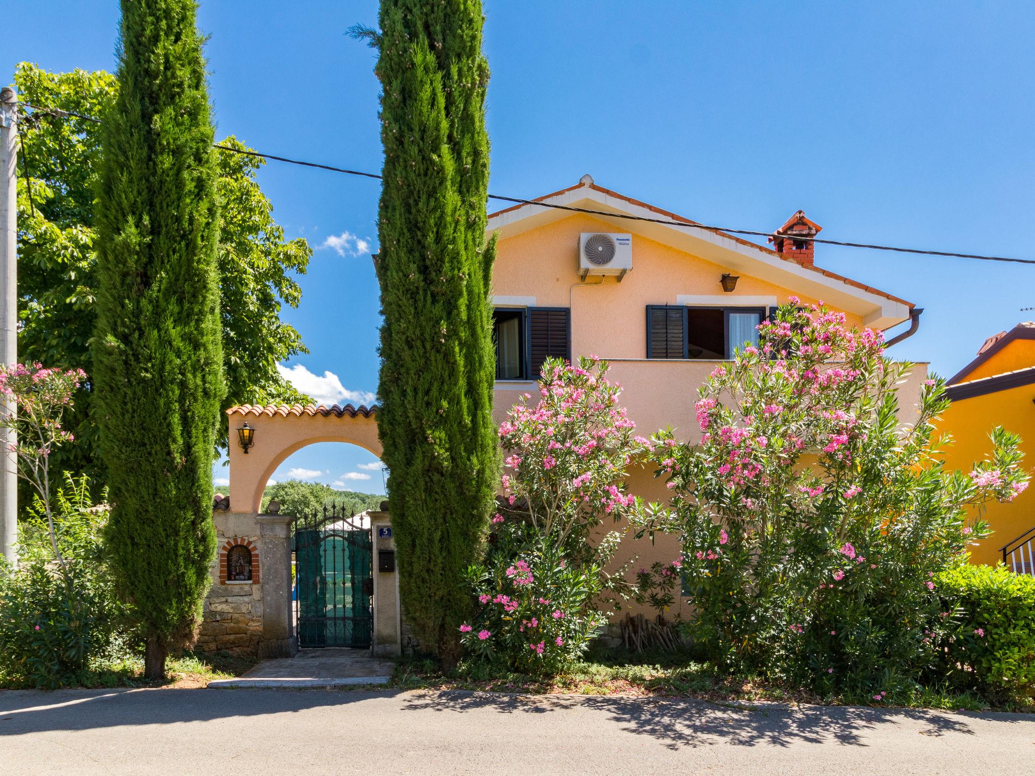 Foto 22 - Casa con 3 camere da letto a Višnjan con piscina privata e giardino