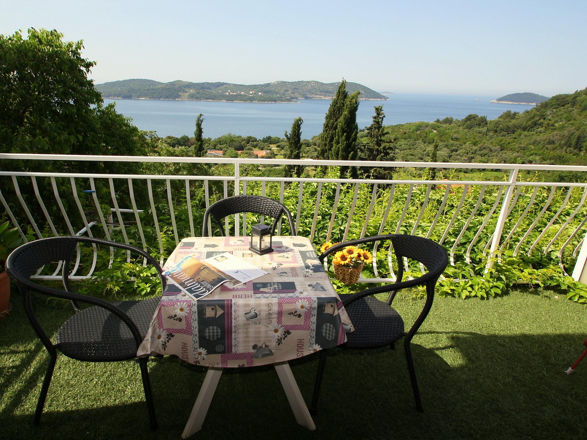 Photo 2 - 1 bedroom Apartment in Dubrovnik with swimming pool and sea view