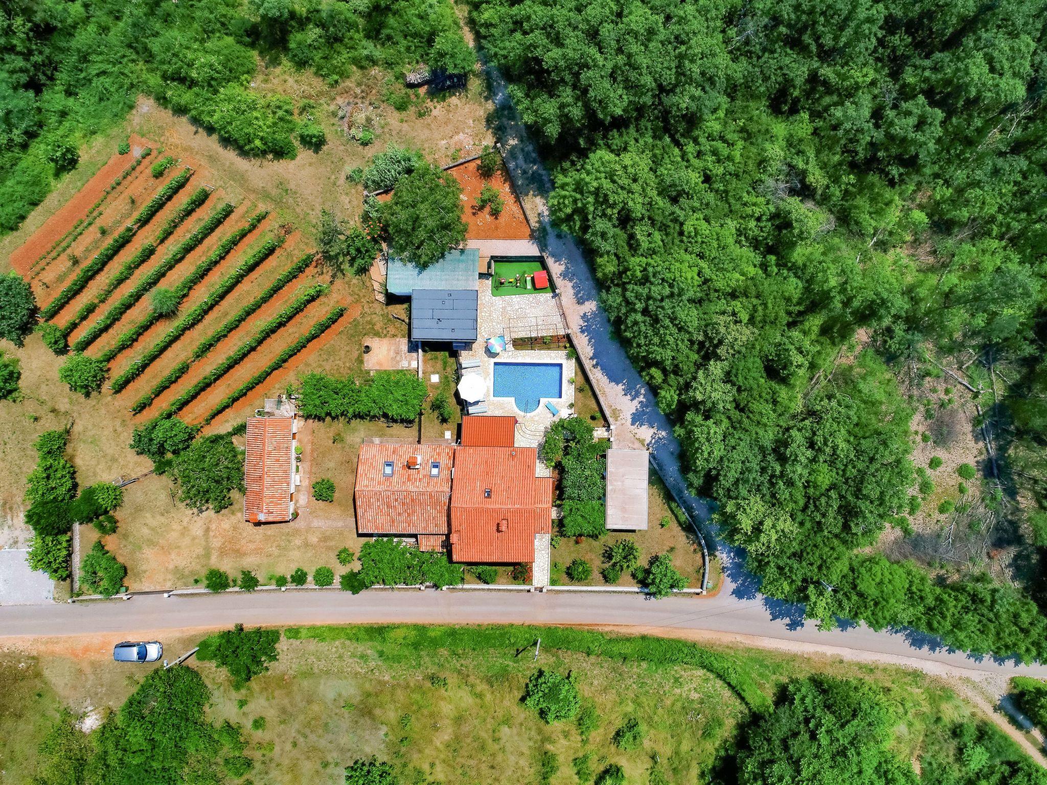 Photo 41 - Maison de 3 chambres à Sveta Nedelja avec piscine privée et jardin