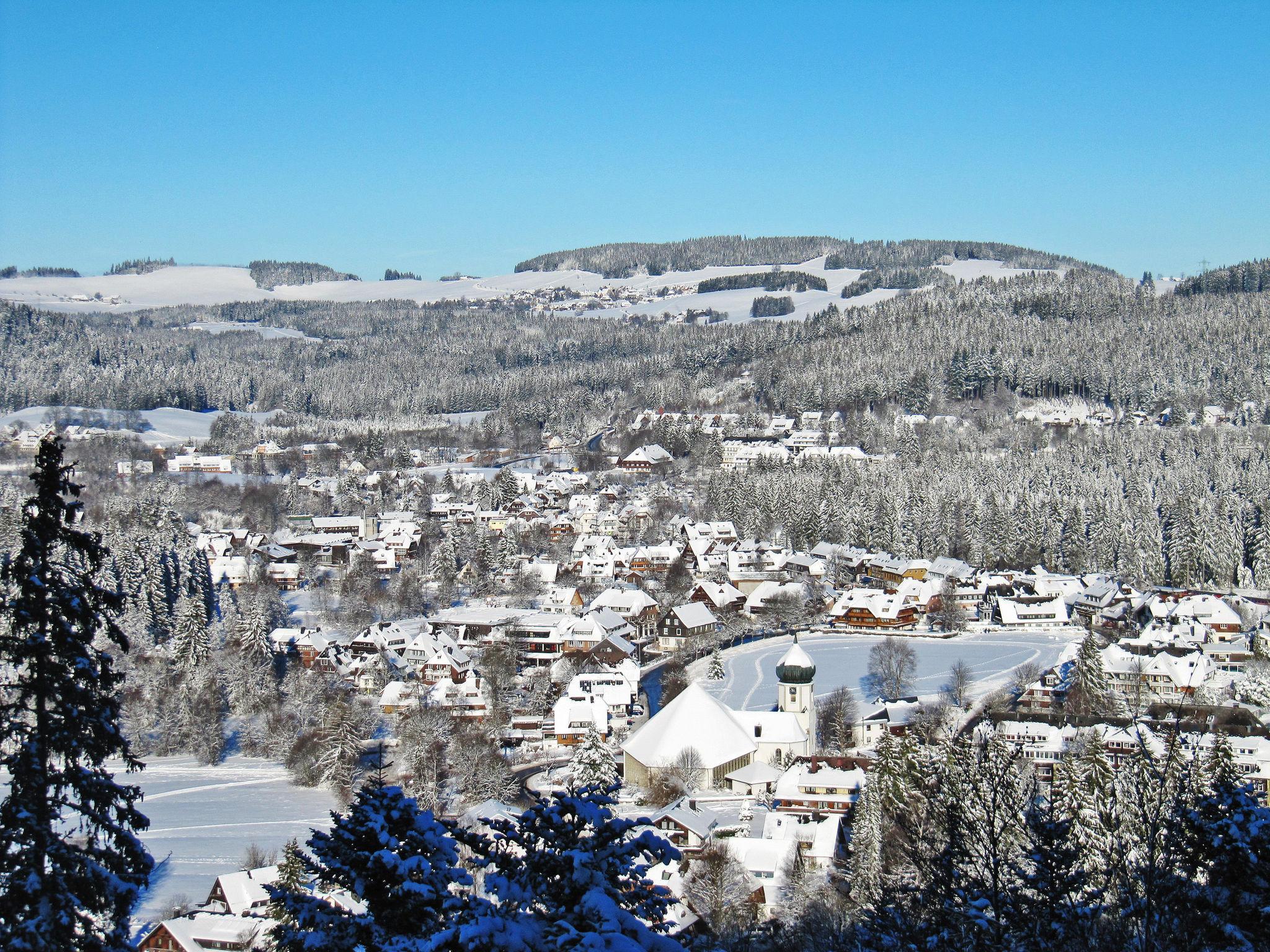 Photo 24 - 2 bedroom Apartment in Hinterzarten with terrace and mountain view