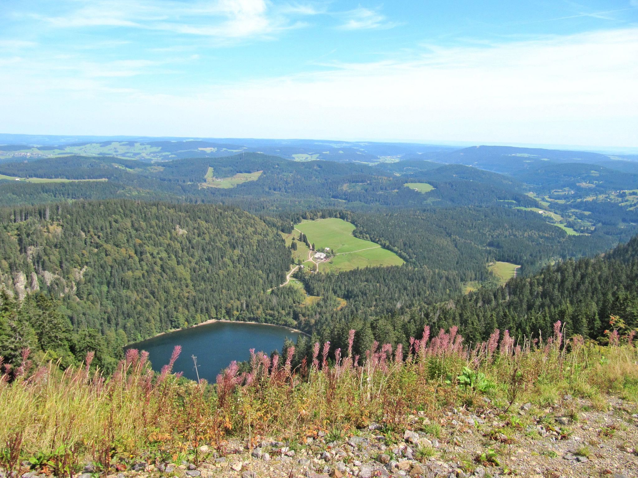 Foto 16 - Apartamento de 2 quartos em Hinterzarten com terraço e vista para a montanha