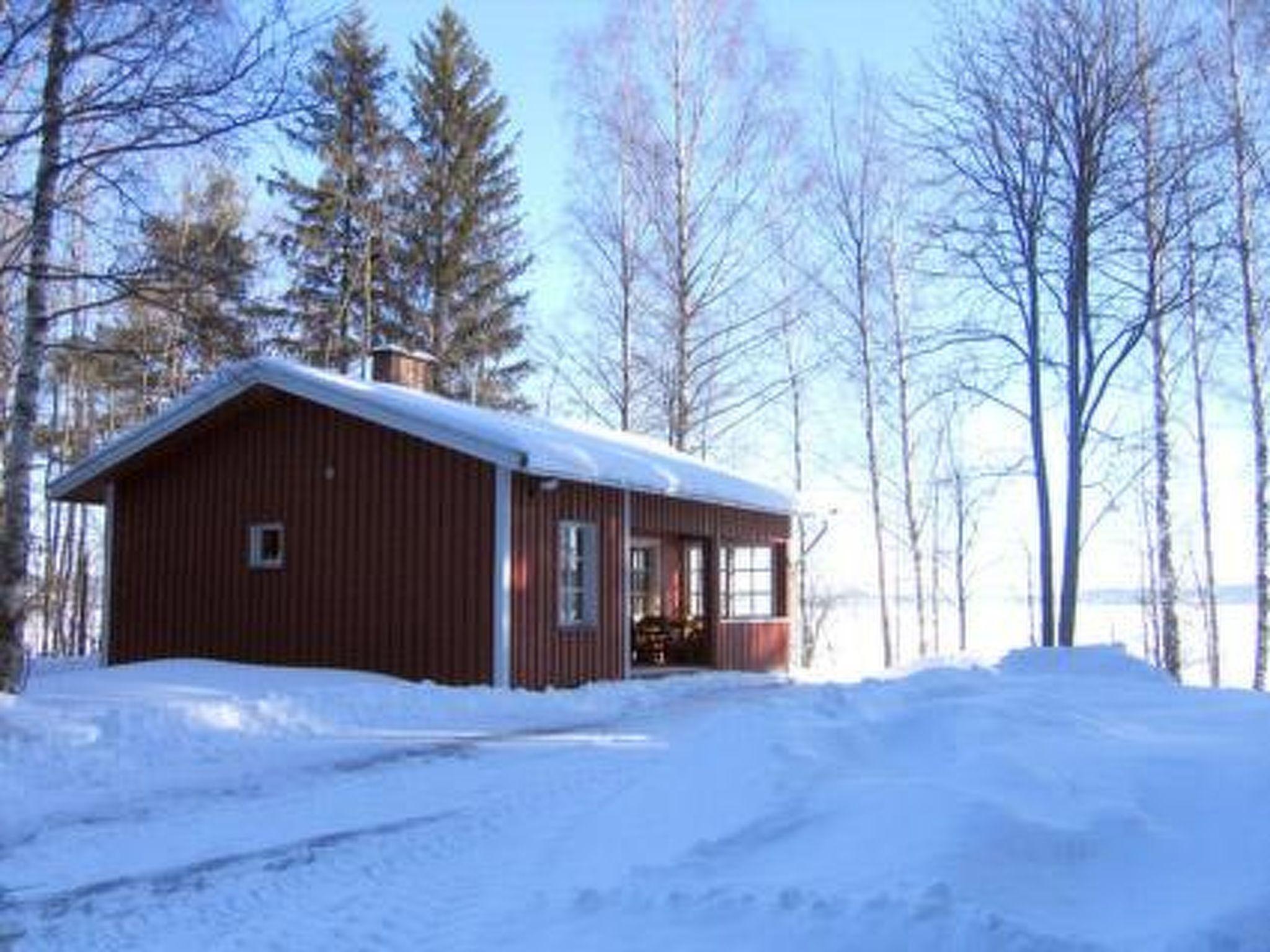 Photo 16 - Maison de 1 chambre à Sastamala avec sauna