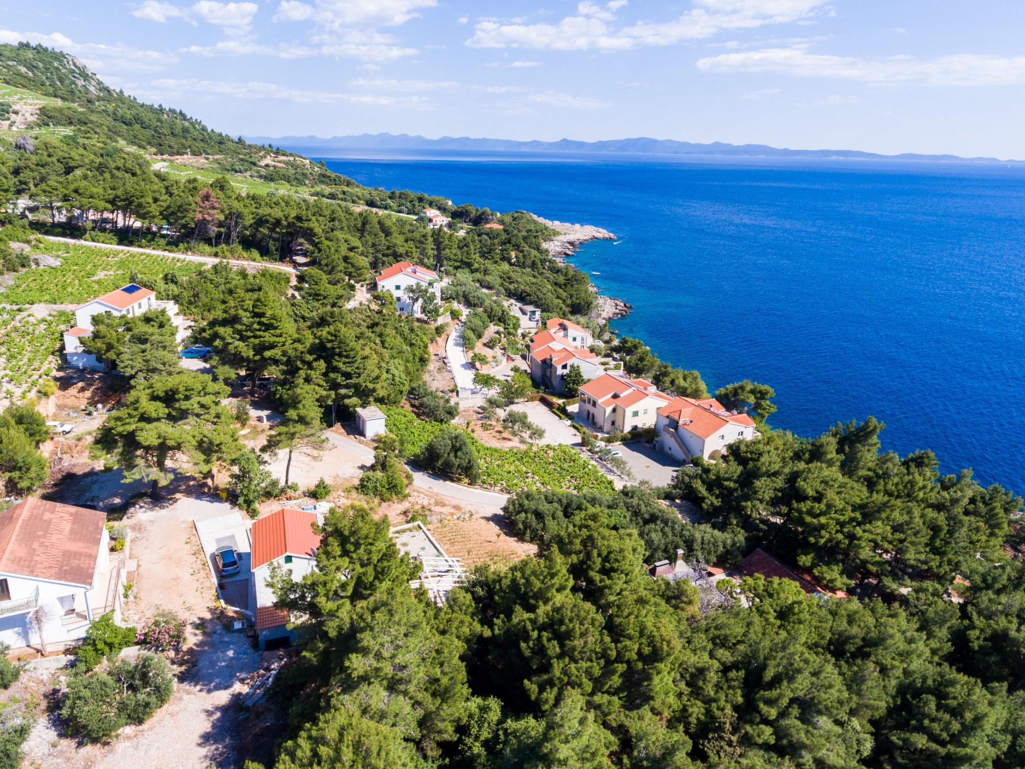 Photo 3 - Maison de 3 chambres à Orebić avec jardin et vues à la mer