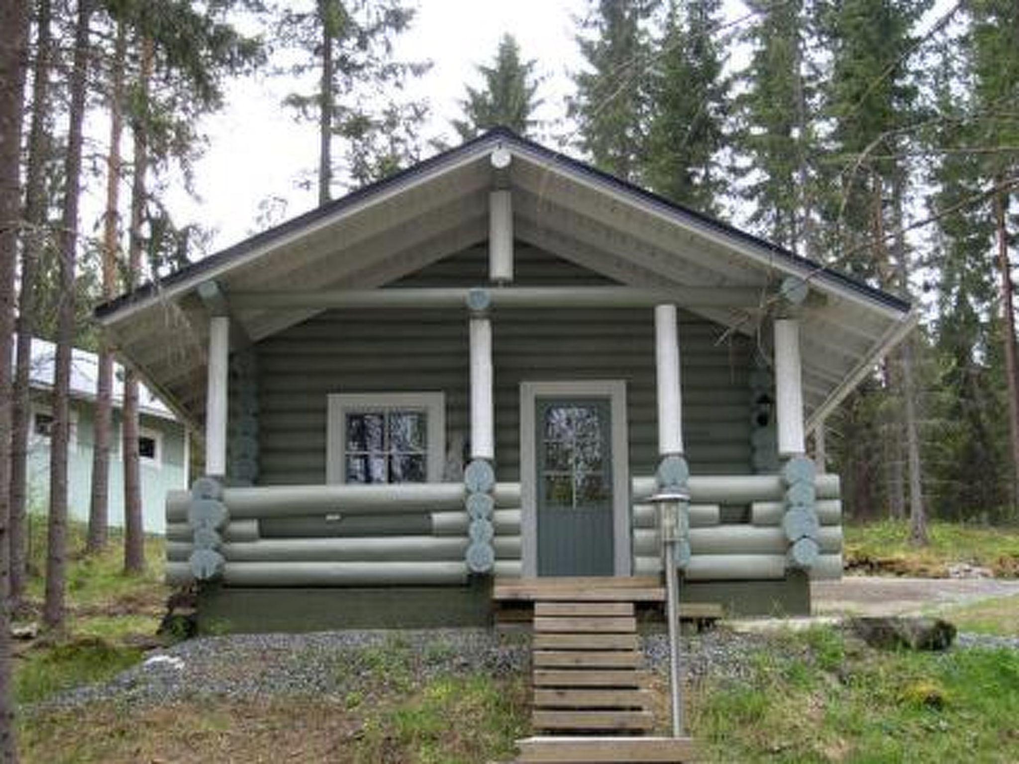 Photo 39 - Maison de 2 chambres à Heinävesi avec sauna