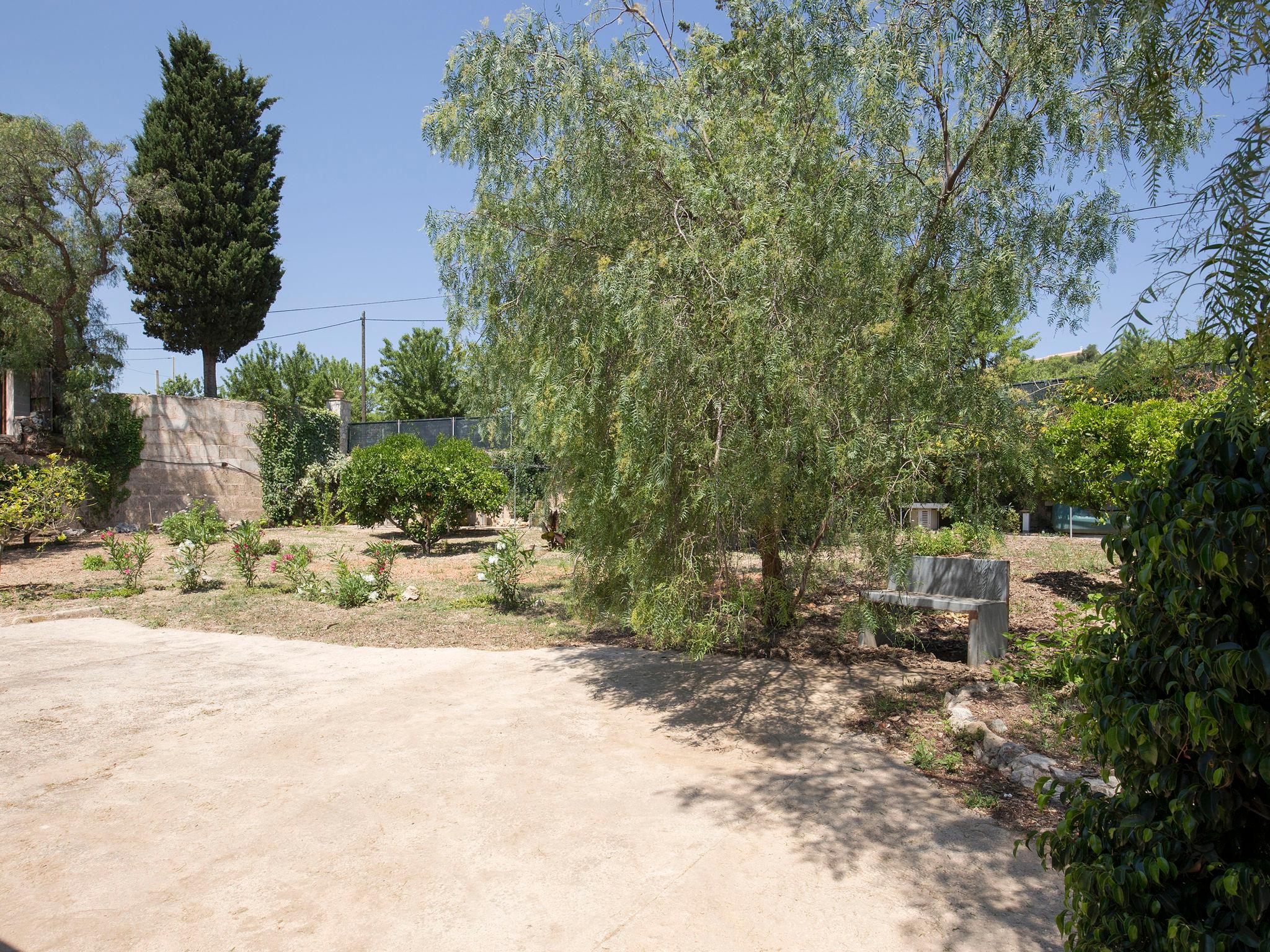 Foto 45 - Casa con 6 camere da letto a Inca con piscina privata e giardino