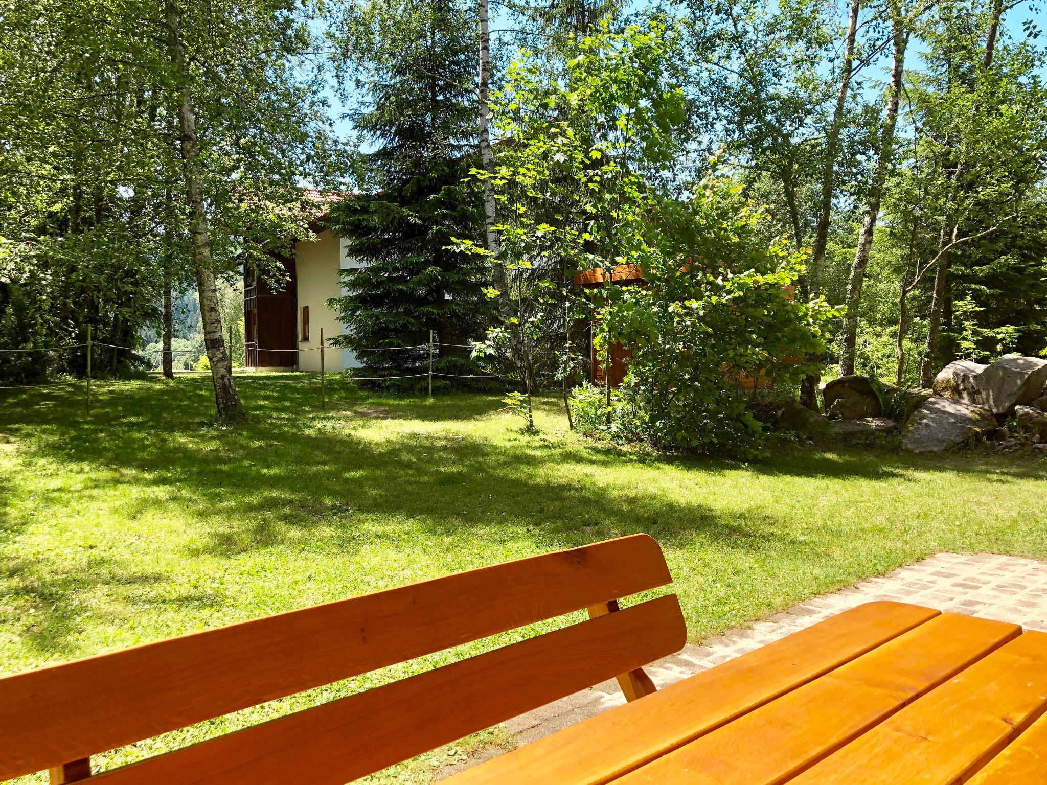 Foto 10 - Casa de 3 quartos em Bischofsmais com terraço e vista para a montanha